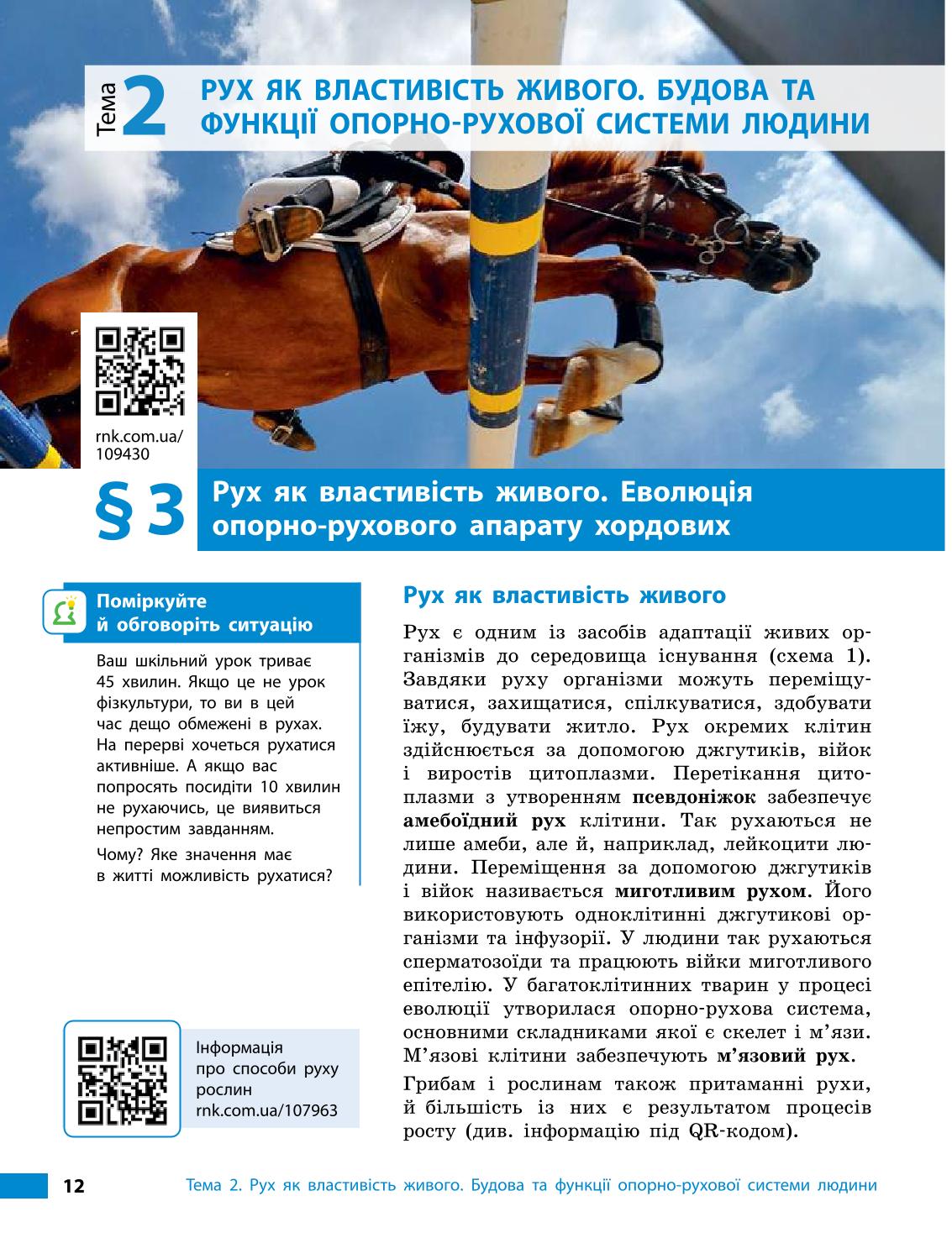 Мініатюра 12