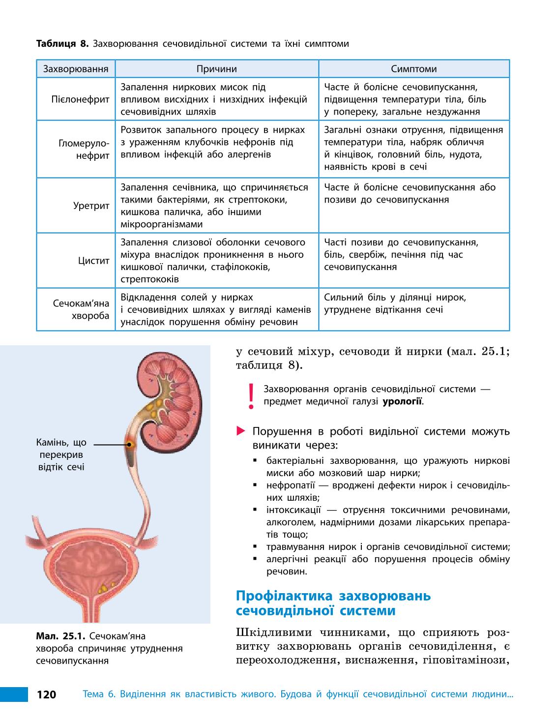 Мініатюра 120