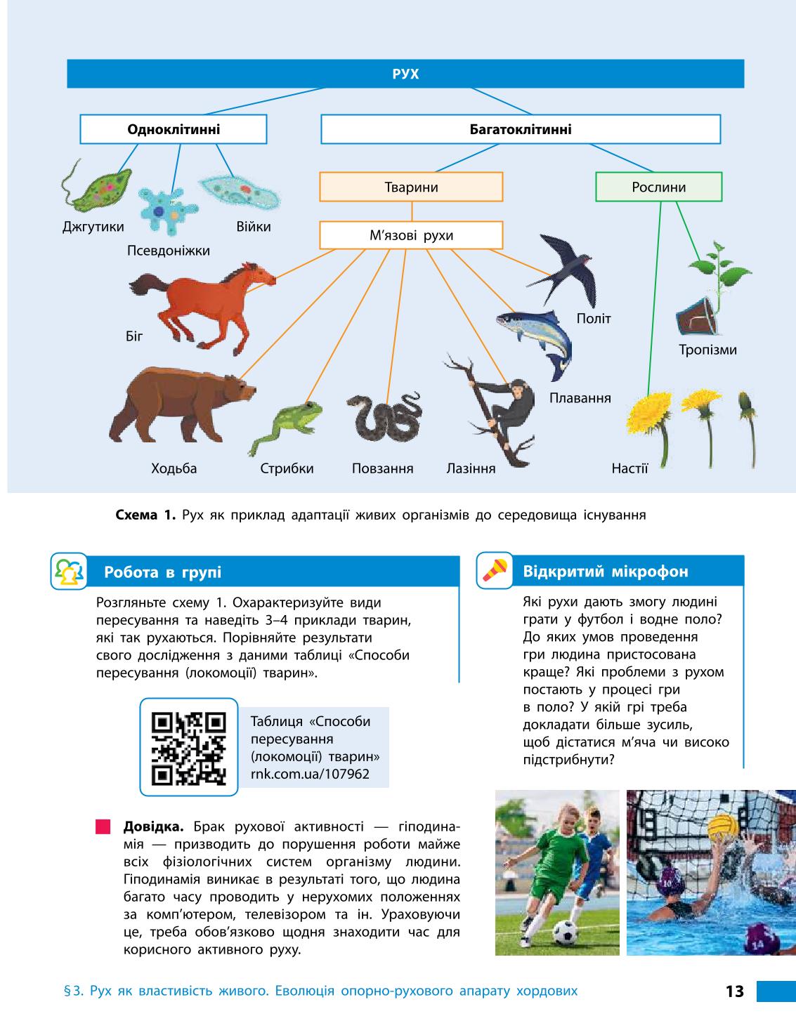 Мініатюра 13