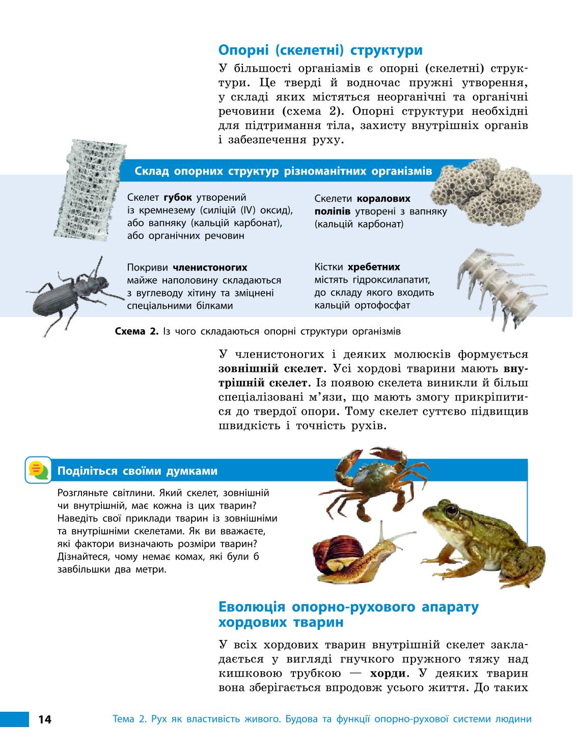 Мініатюра 14