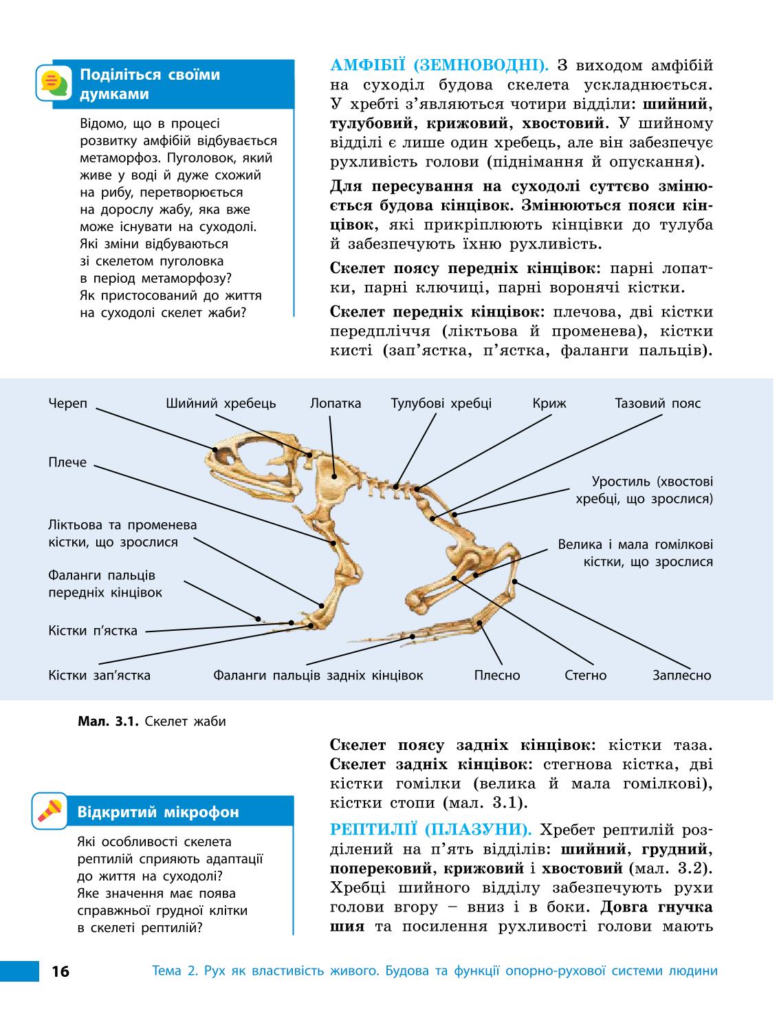 Мініатюра 16