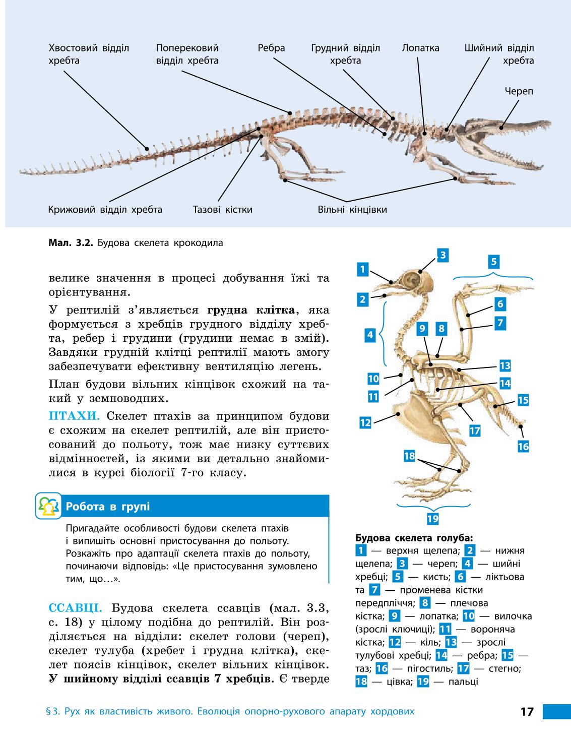 Мініатюра 17