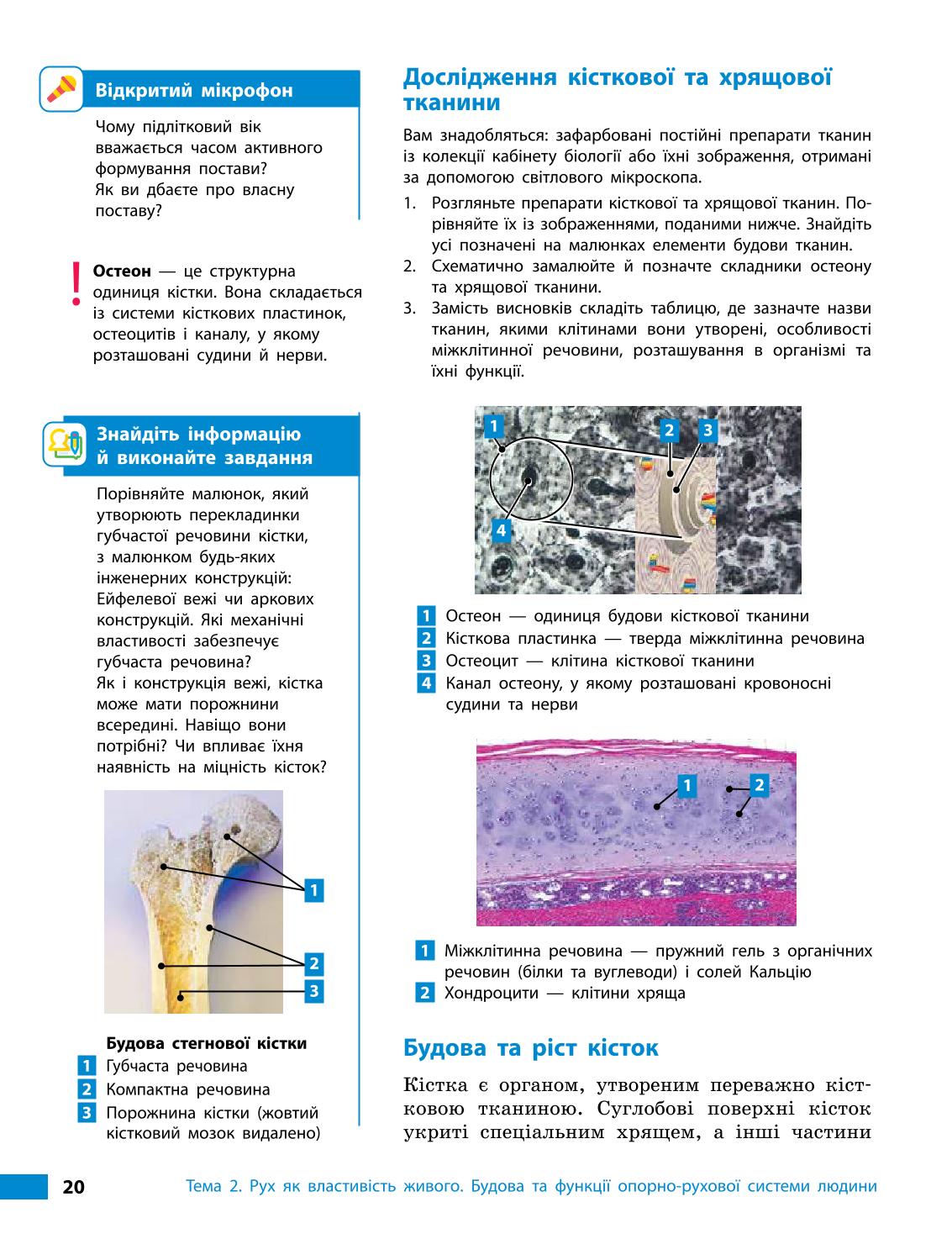 Мініатюра 20