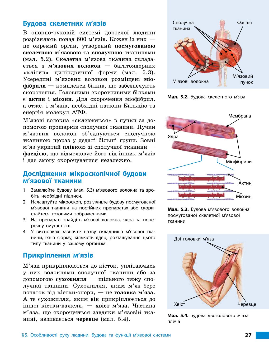 Мініатюра 27