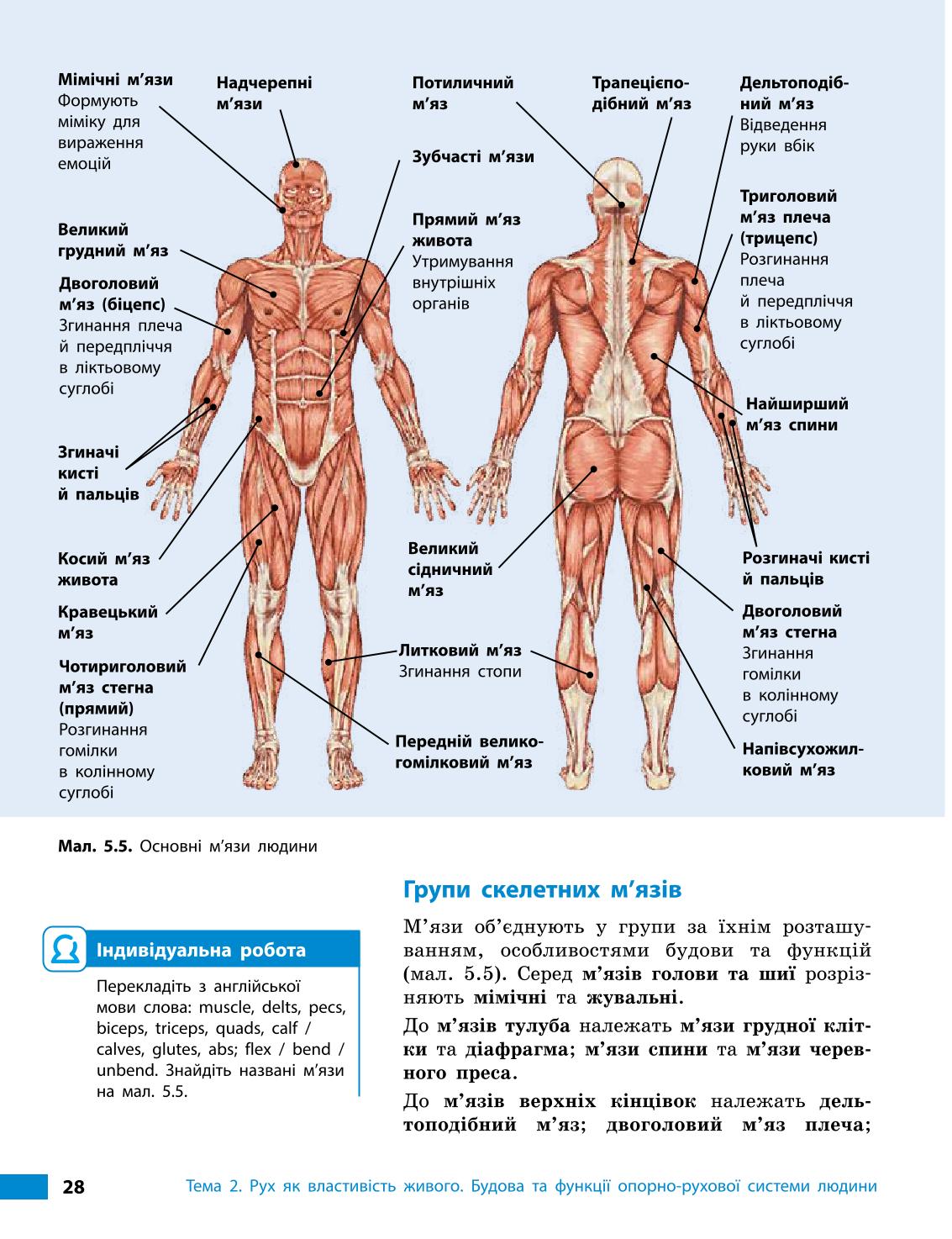 Мініатюра 28