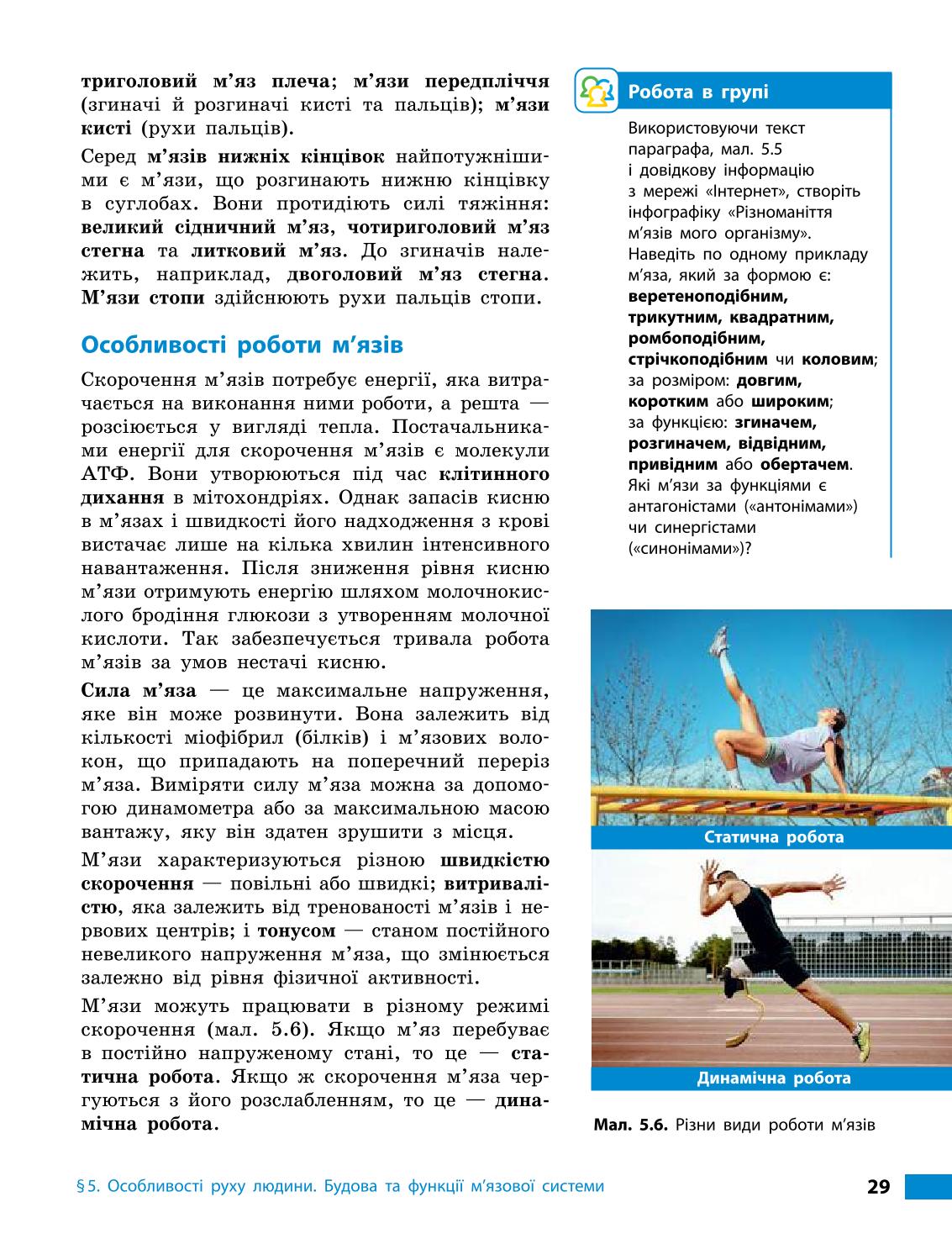 Мініатюра 29