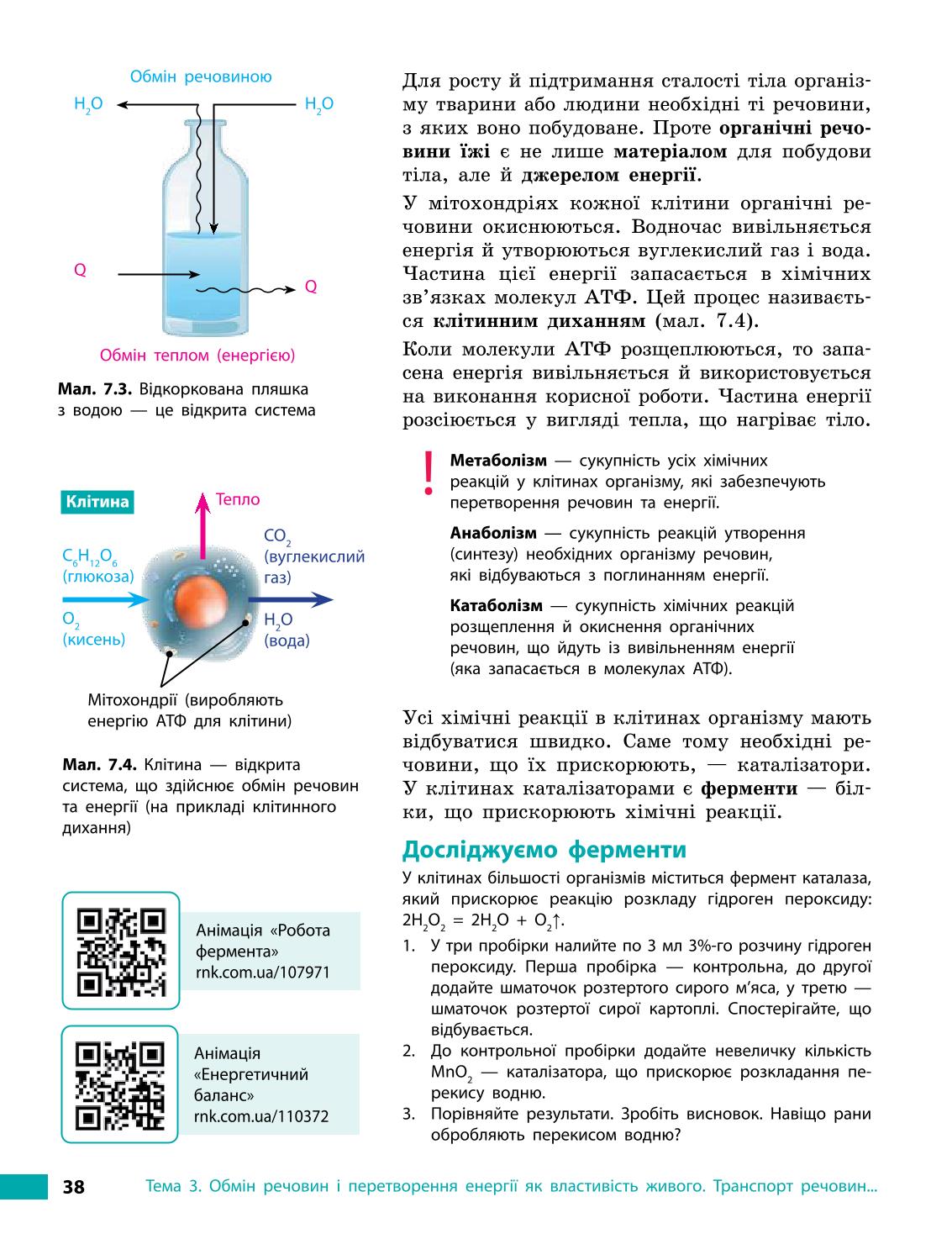 Мініатюра 38
