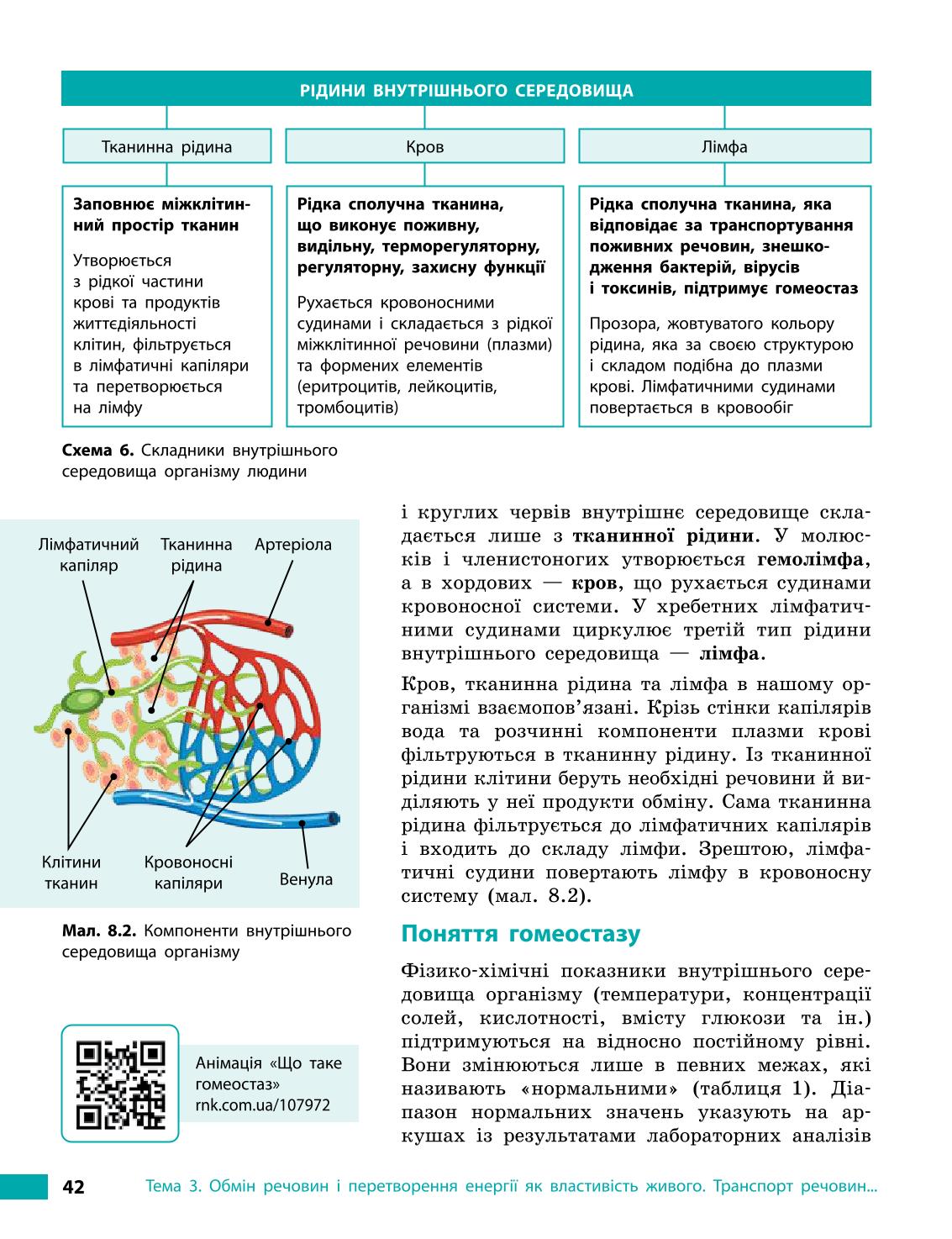 Мініатюра 42