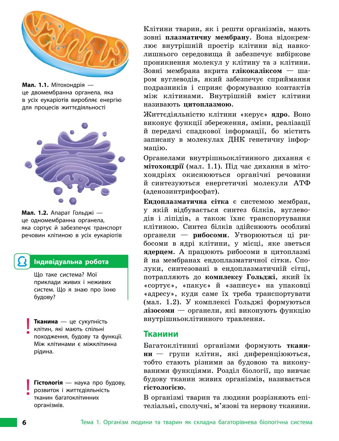 Мініатюра 6
