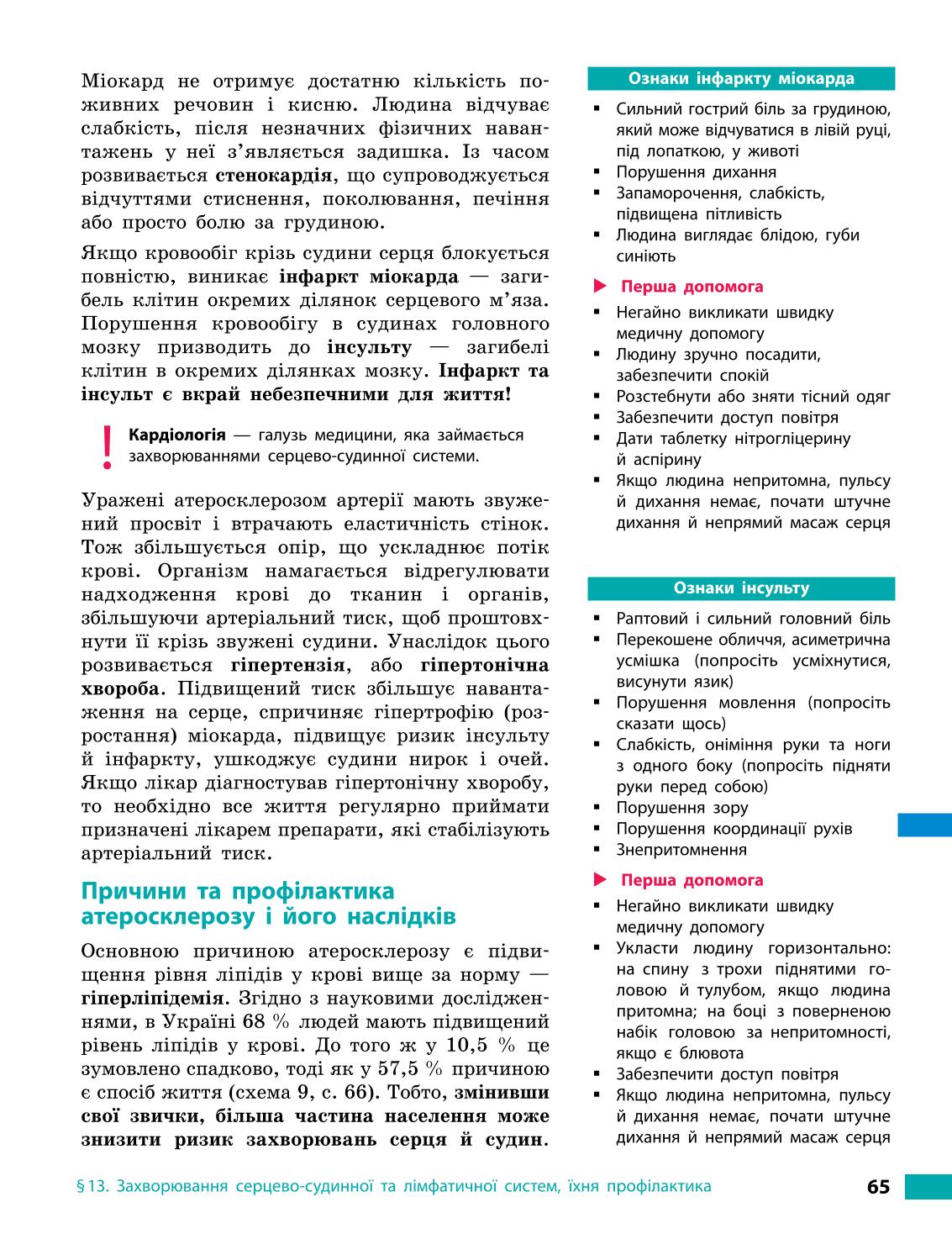 Мініатюра 65