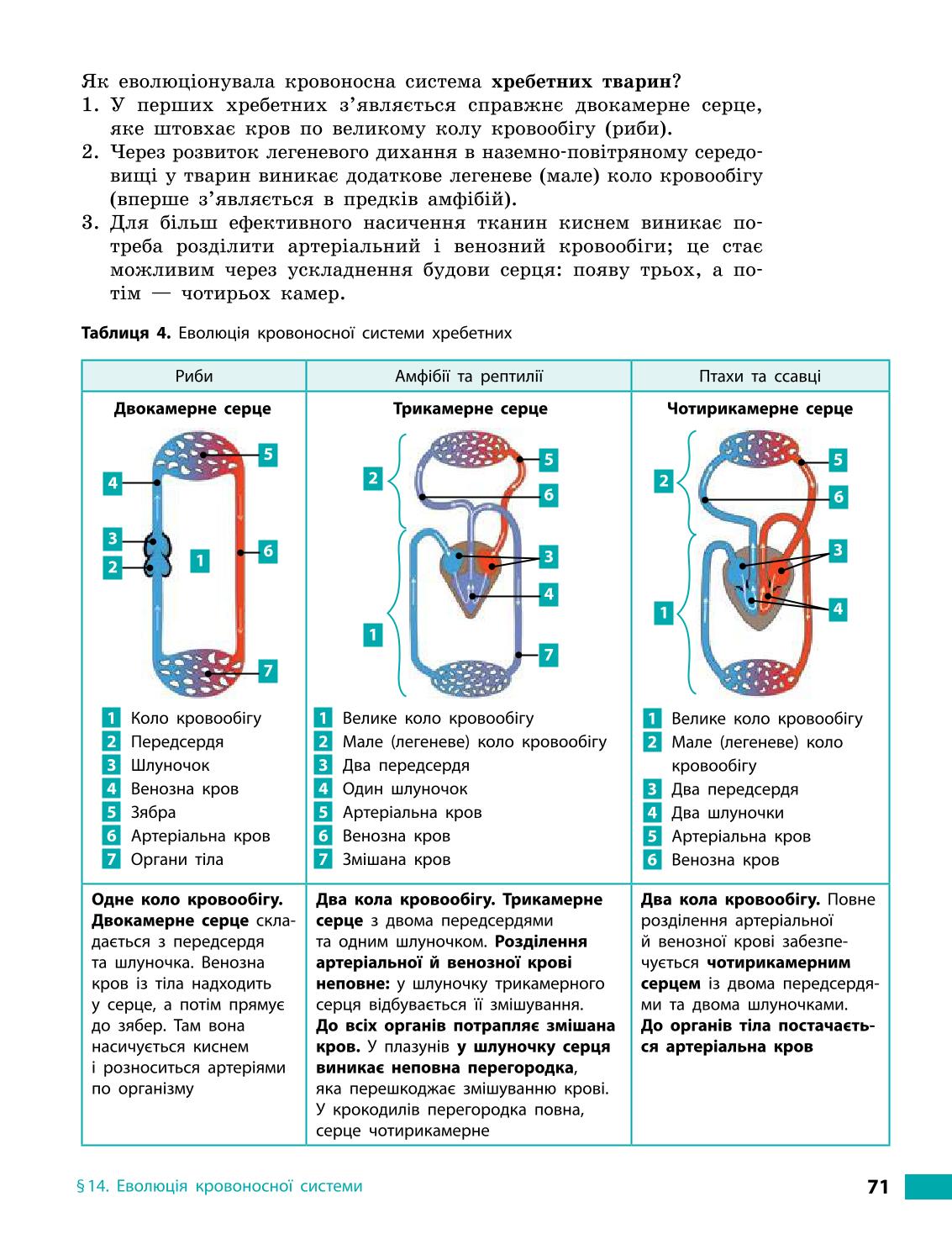 Мініатюра 71