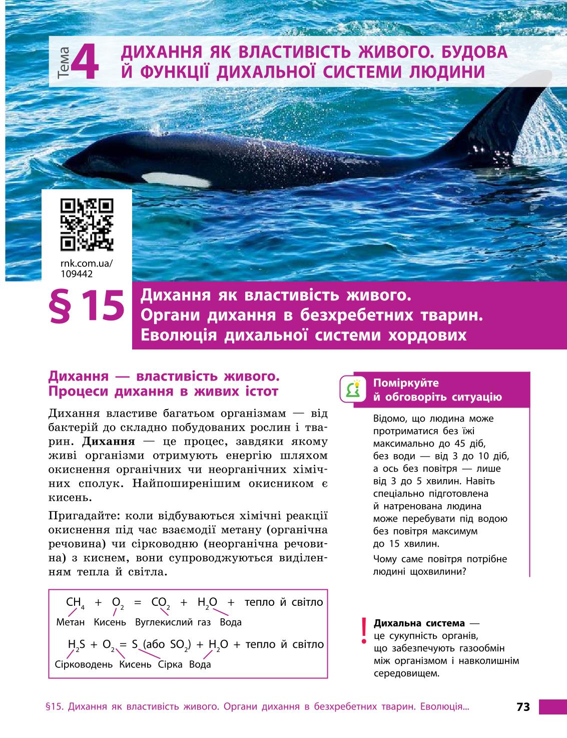 Мініатюра 73