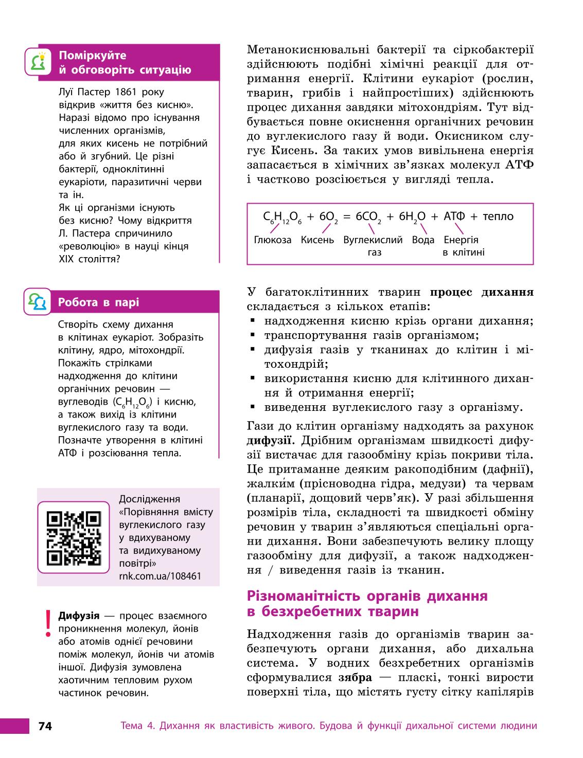 Мініатюра 74