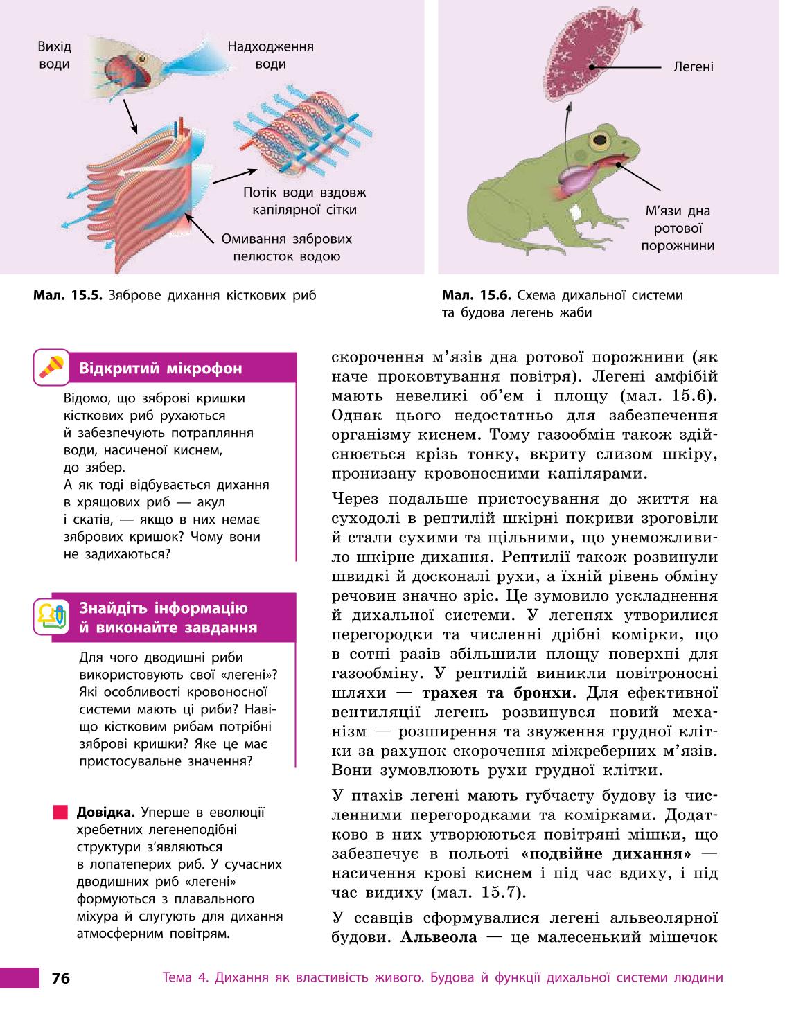 Мініатюра 76