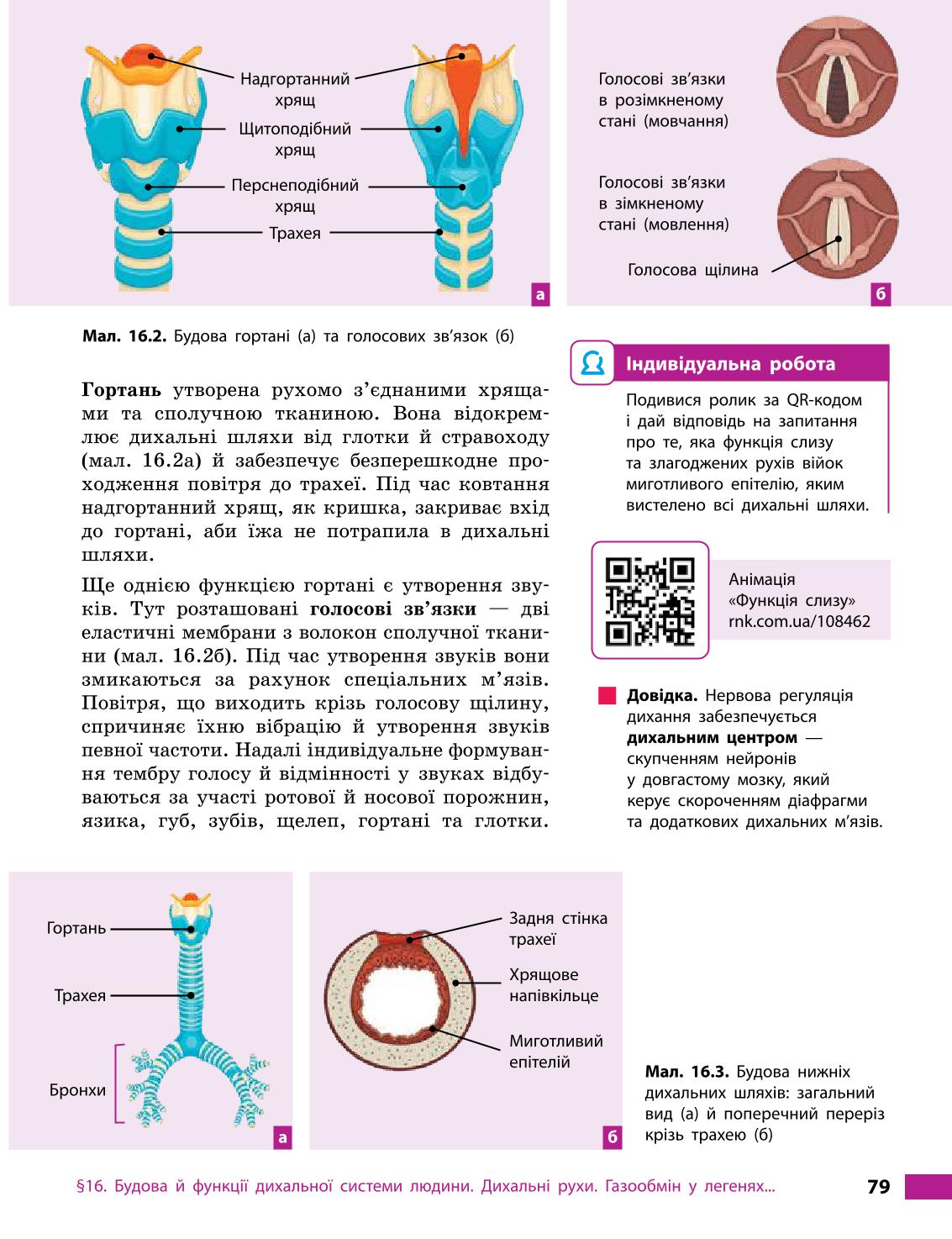 Мініатюра 79