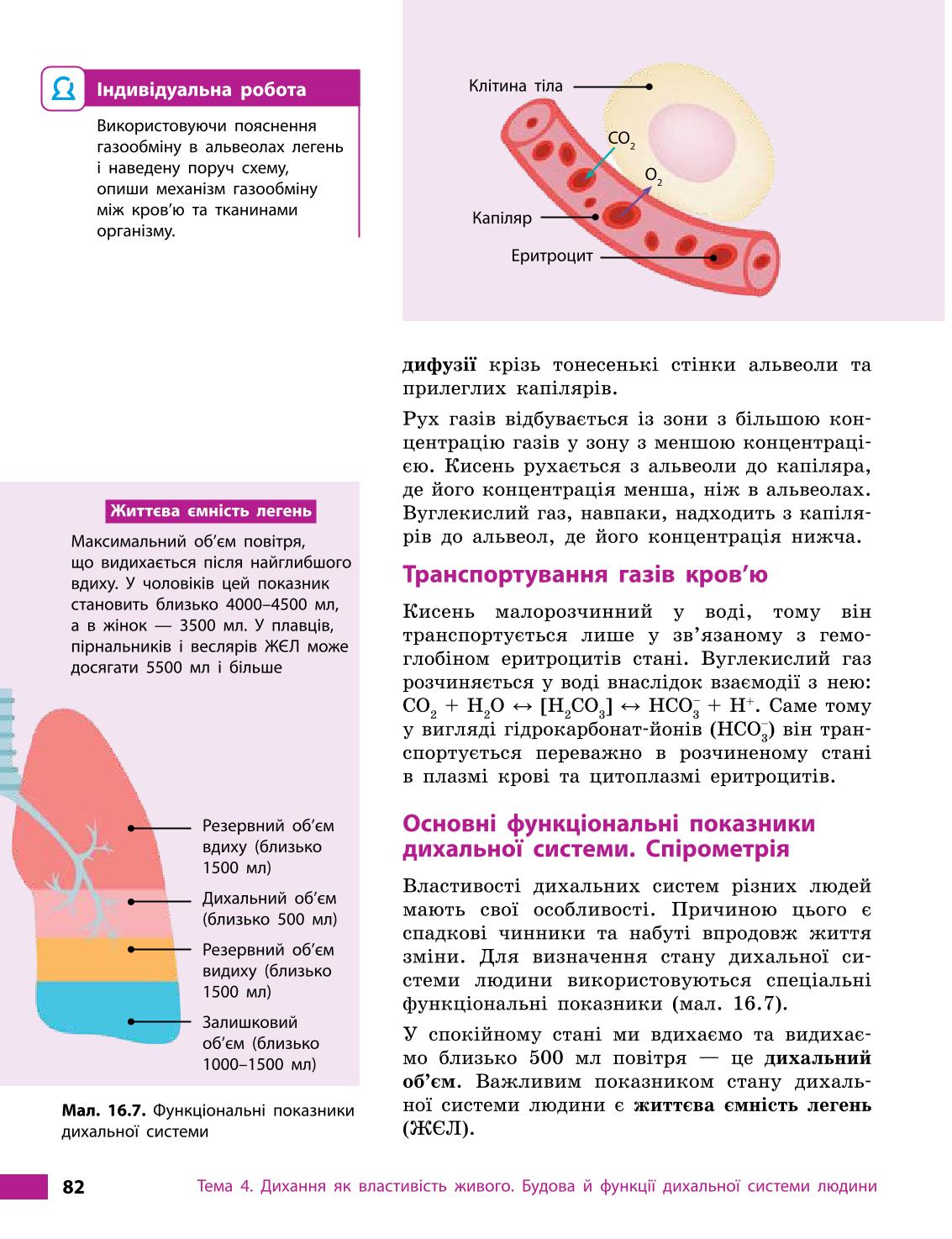 Мініатюра 82