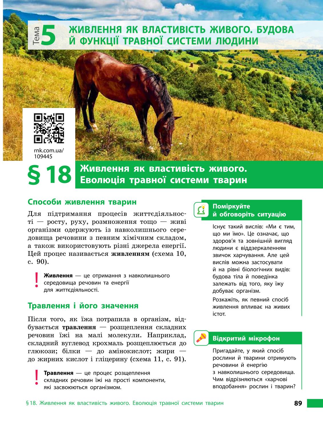 Мініатюра 89