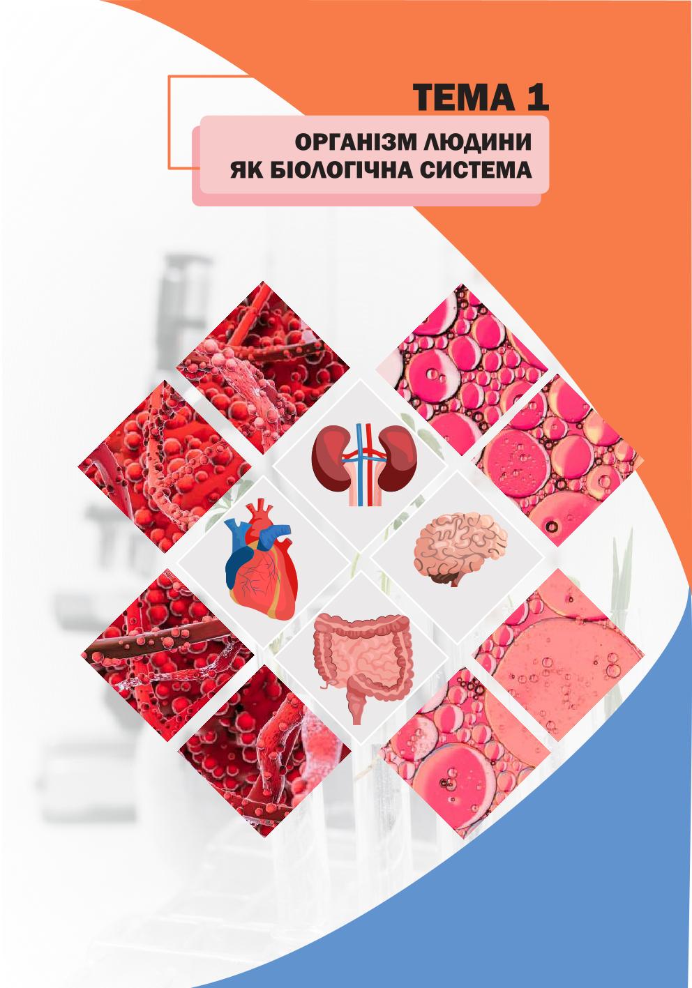 Мініатюра 16