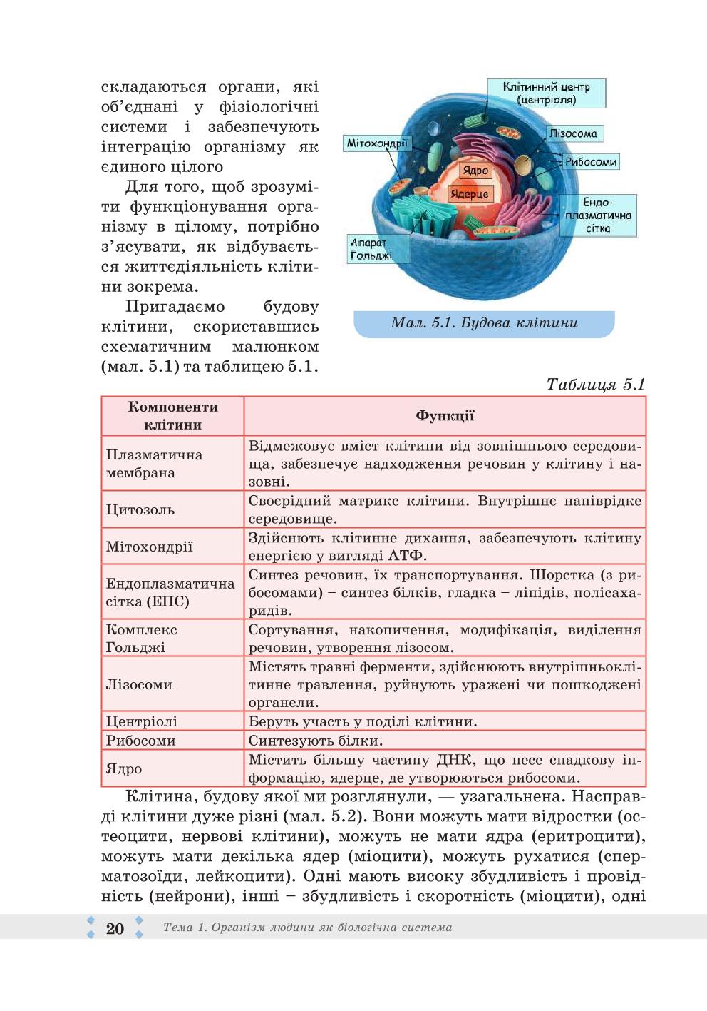 Мініатюра 20