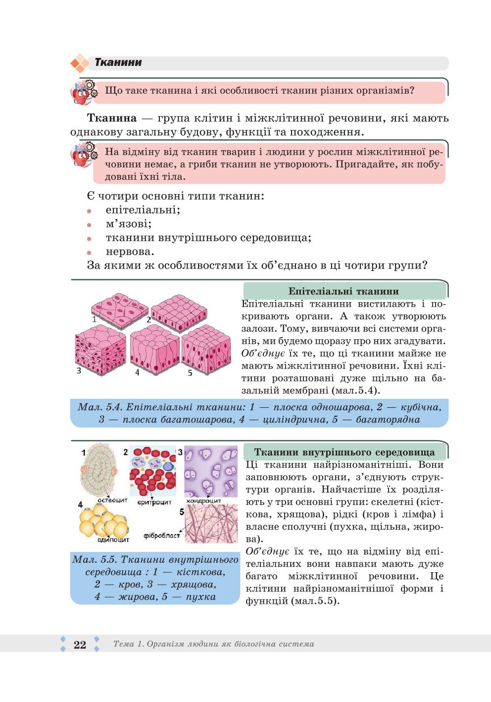 Мініатюра 22