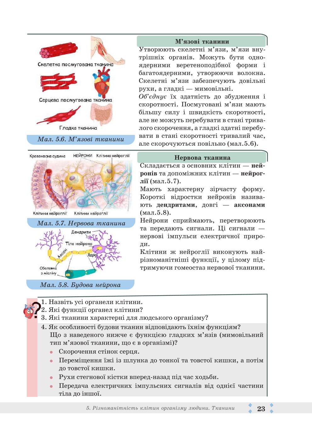 Мініатюра 23