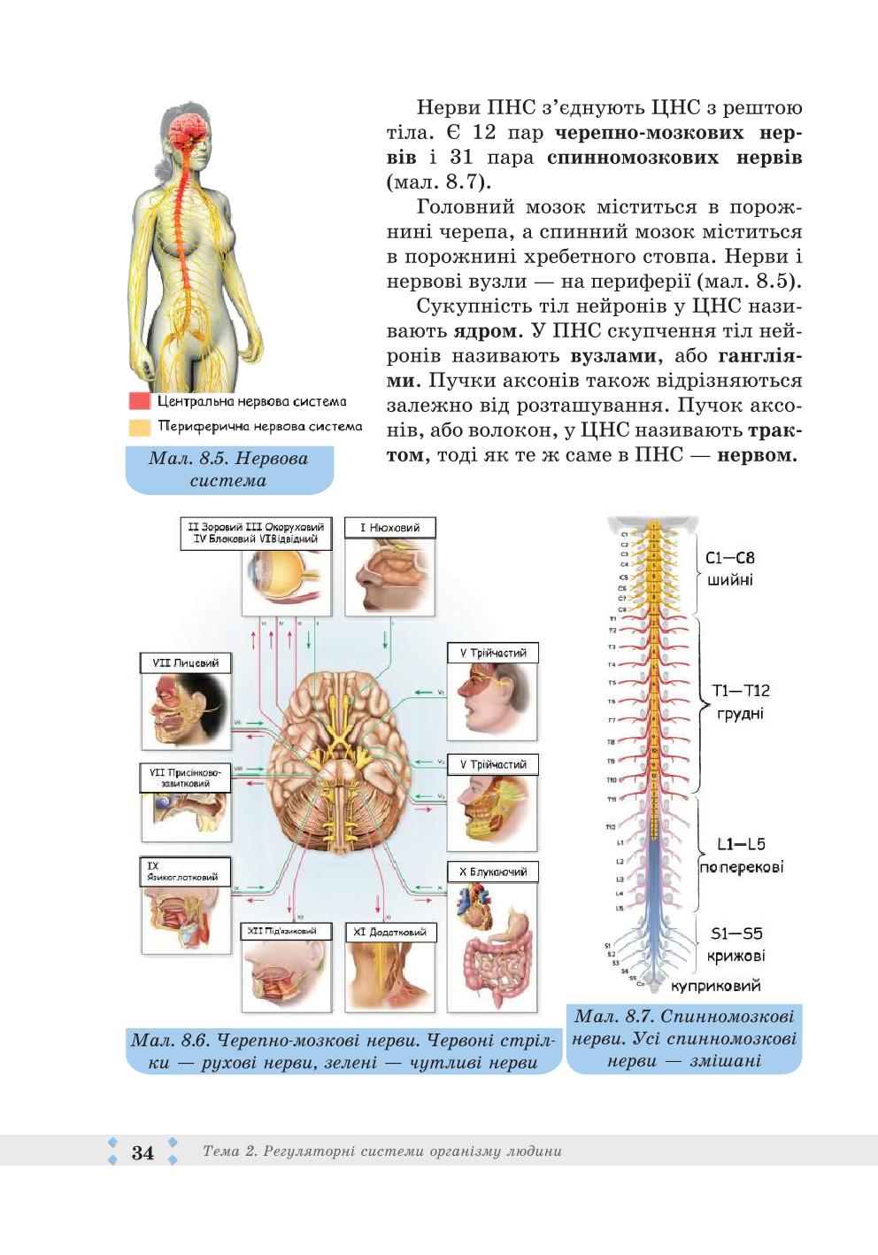 Мініатюра 34