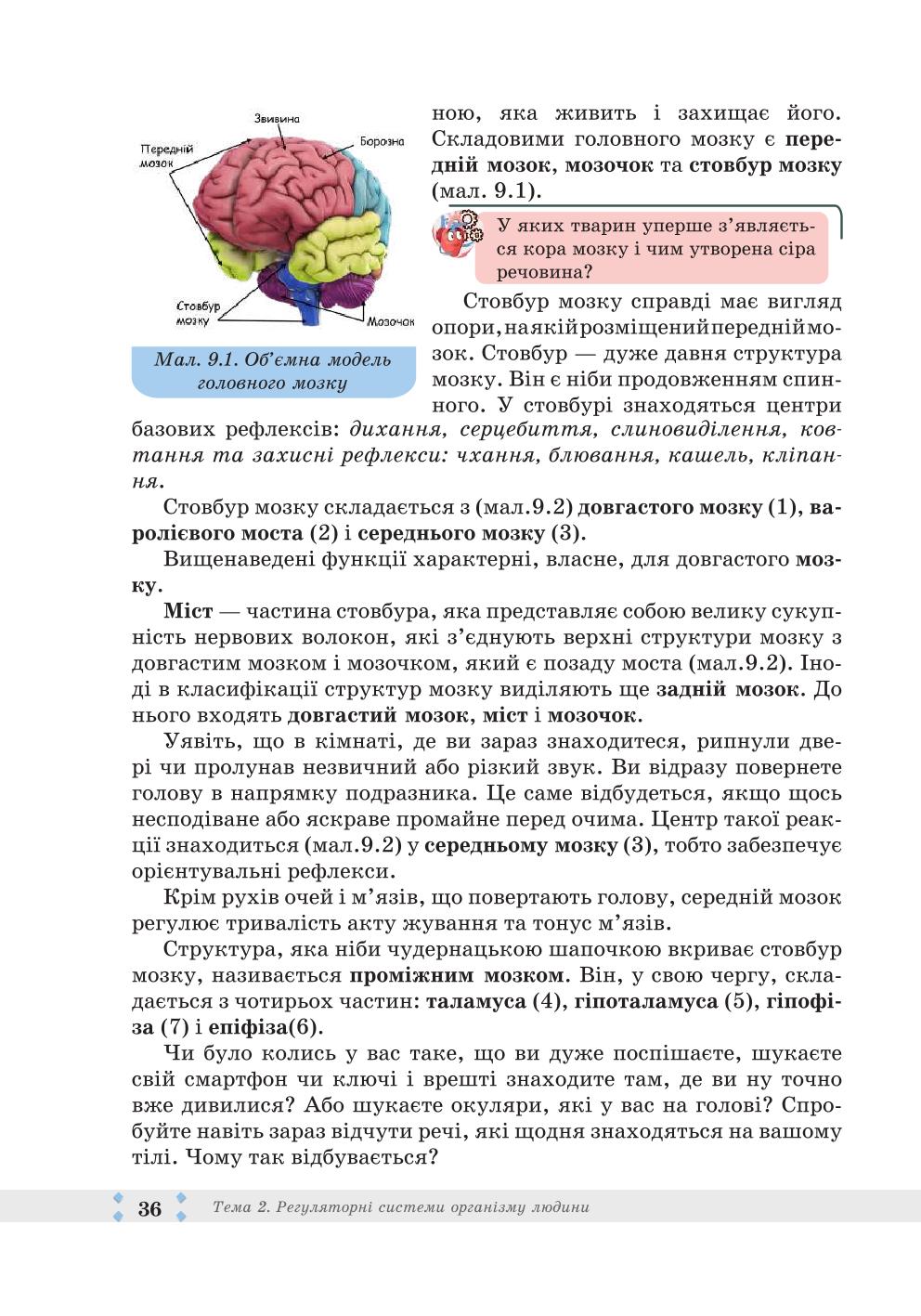 Мініатюра 36