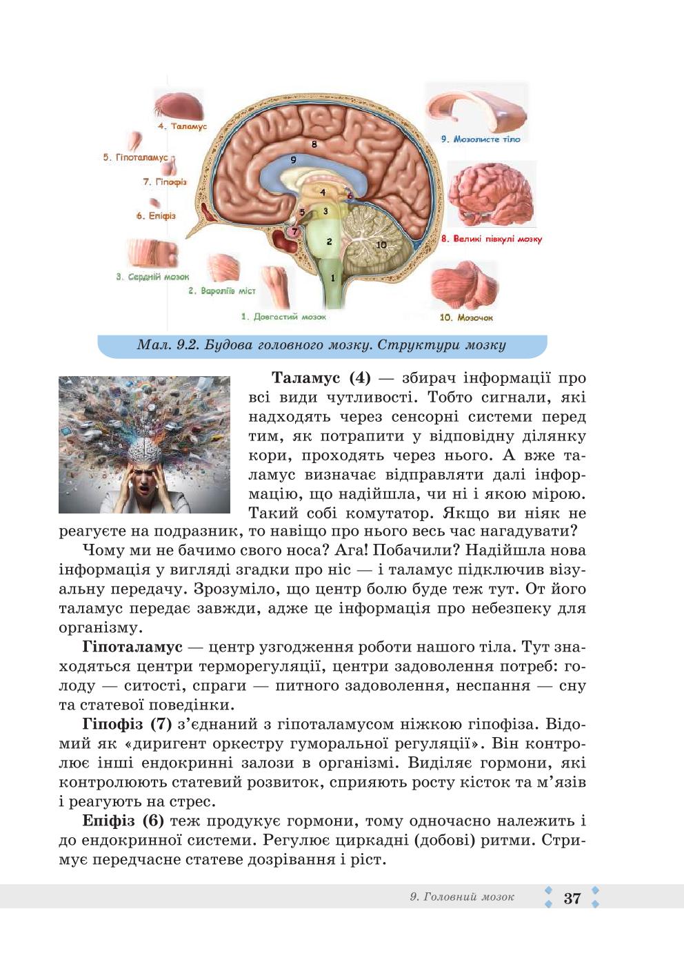 Мініатюра 37