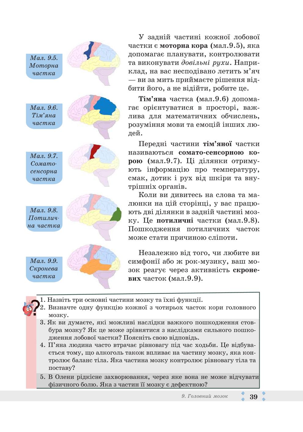Мініатюра 39