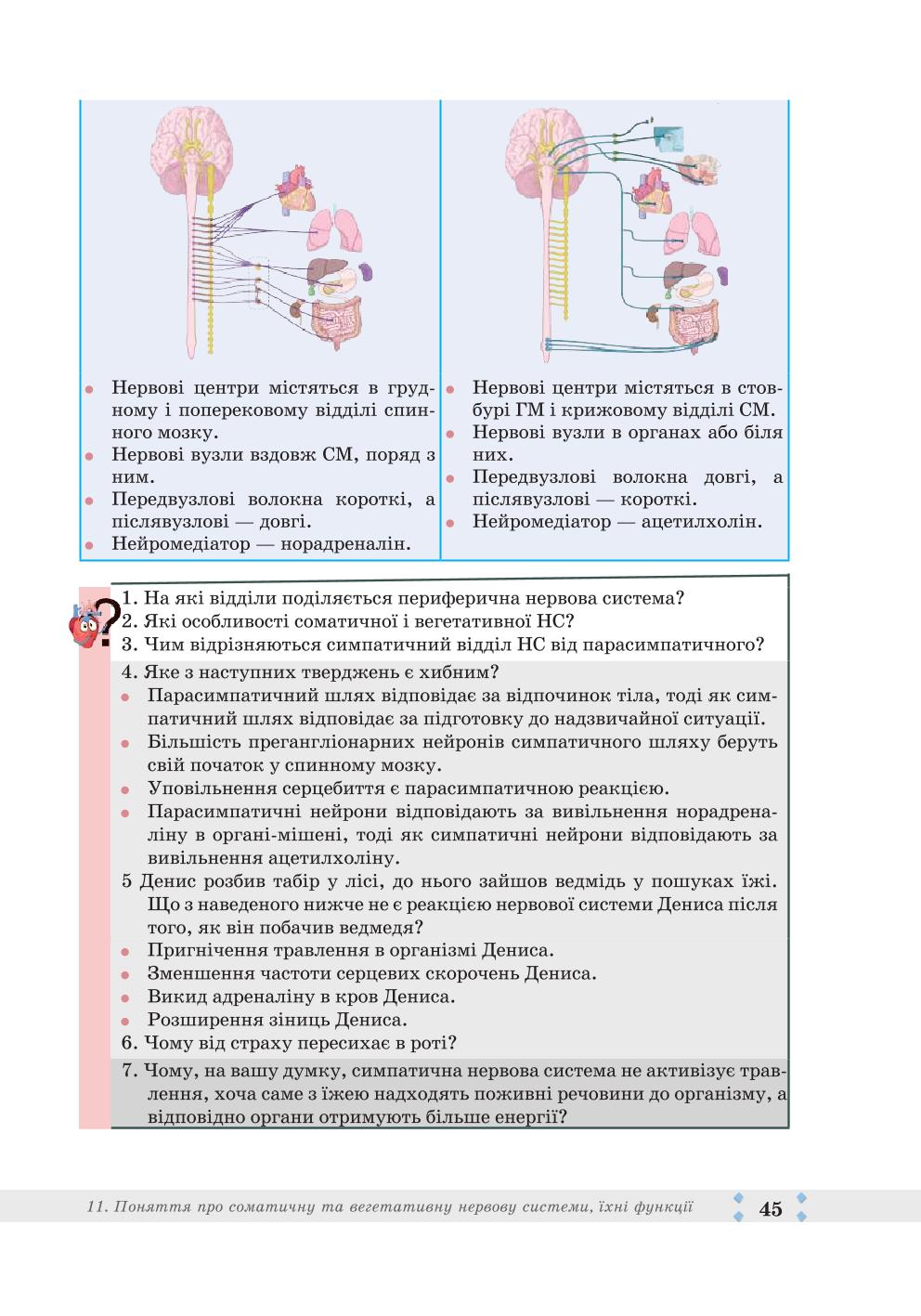 Мініатюра 45