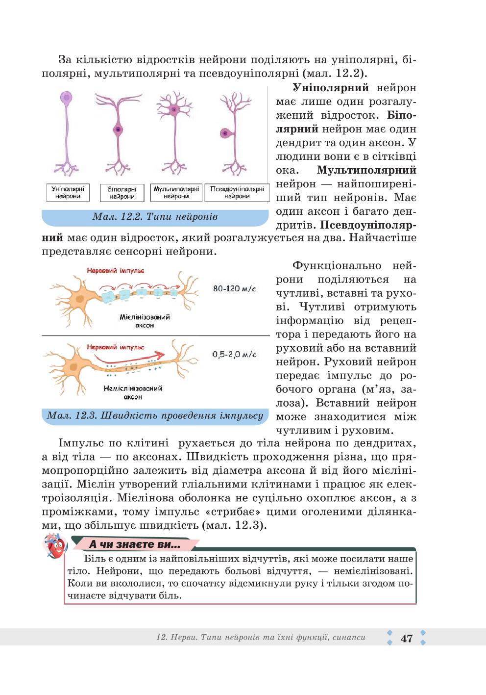 Мініатюра 47