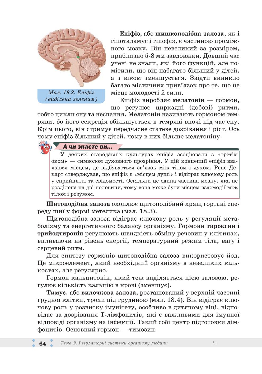 Мініатюра 64