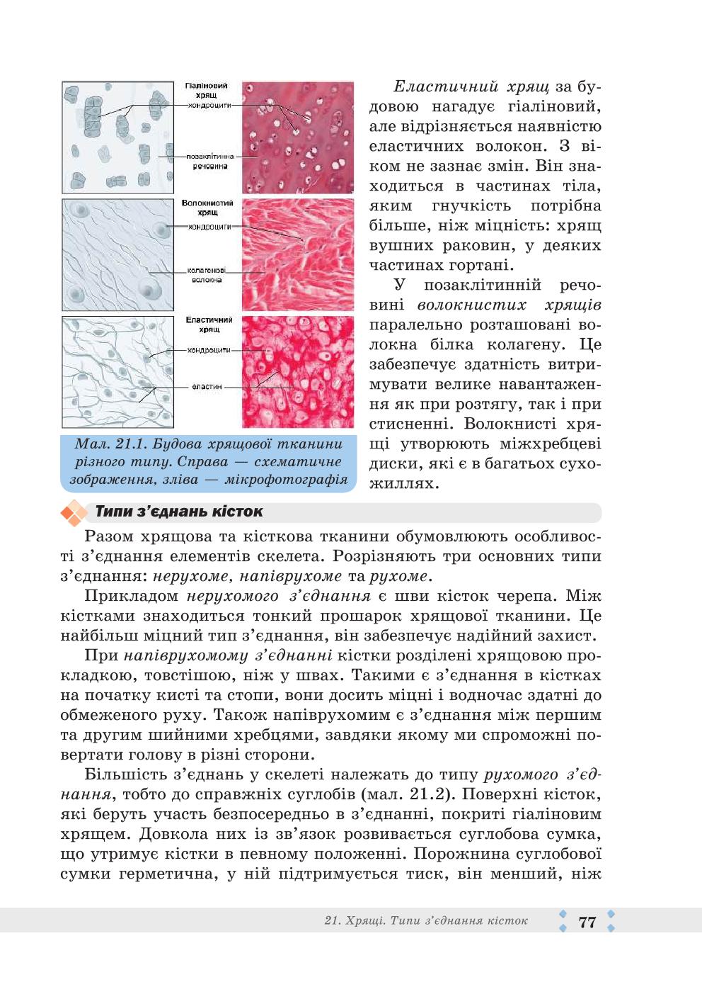 Мініатюра 77