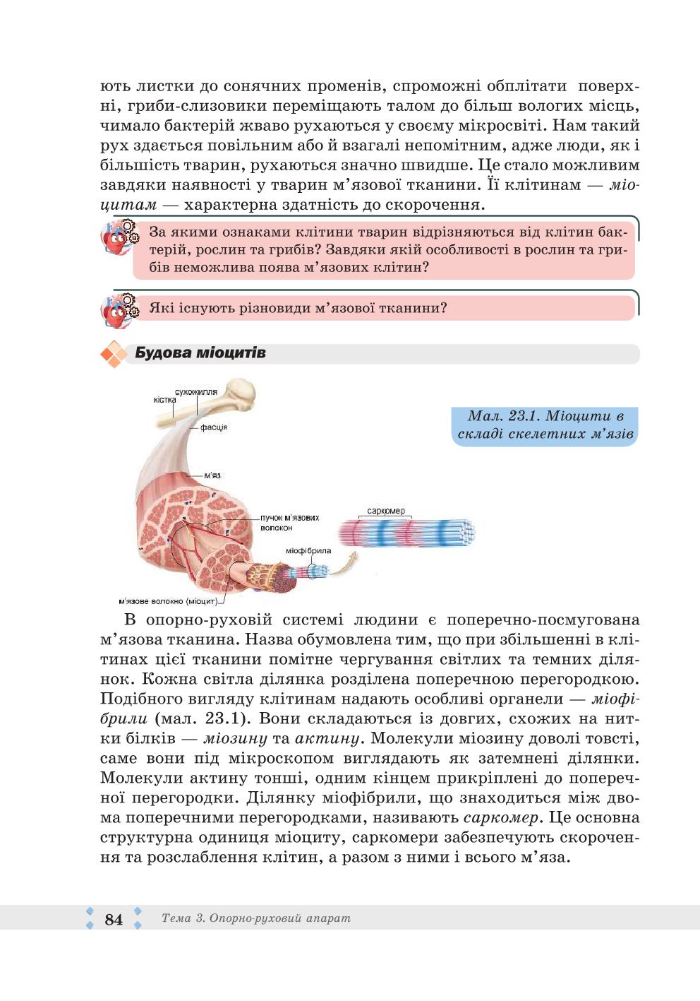 Мініатюра 84