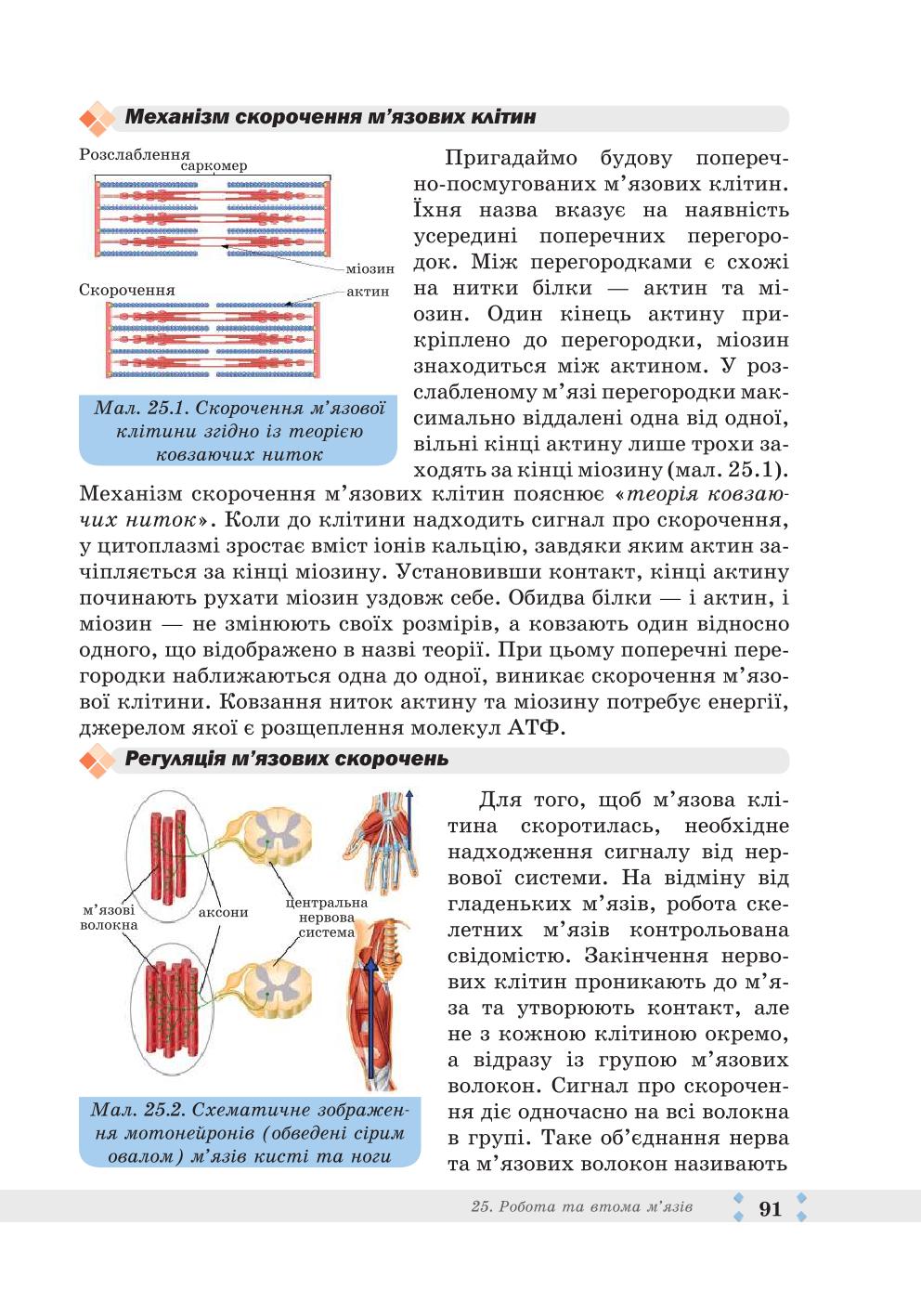Мініатюра 91