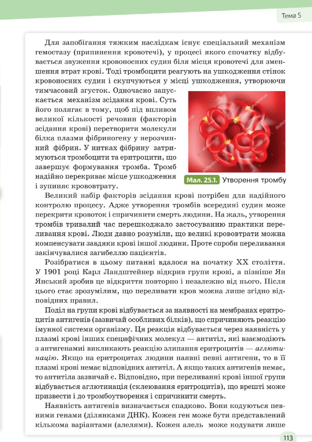 Мініатюра 113