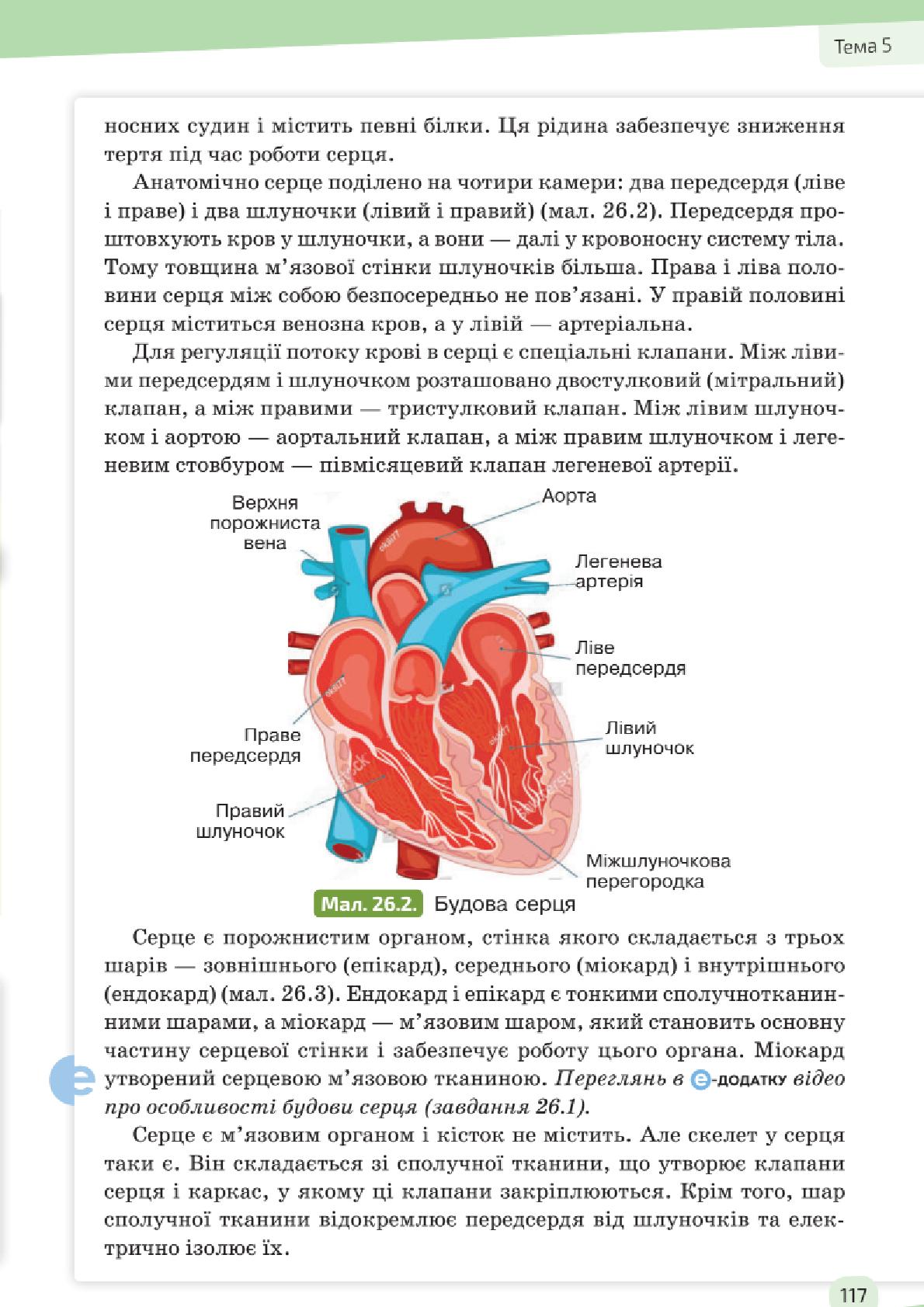 Мініатюра 117