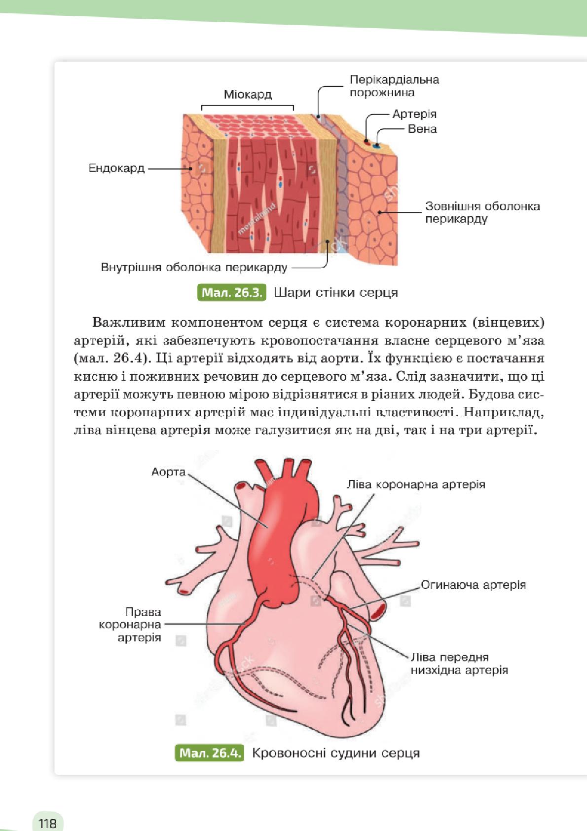 Мініатюра 118