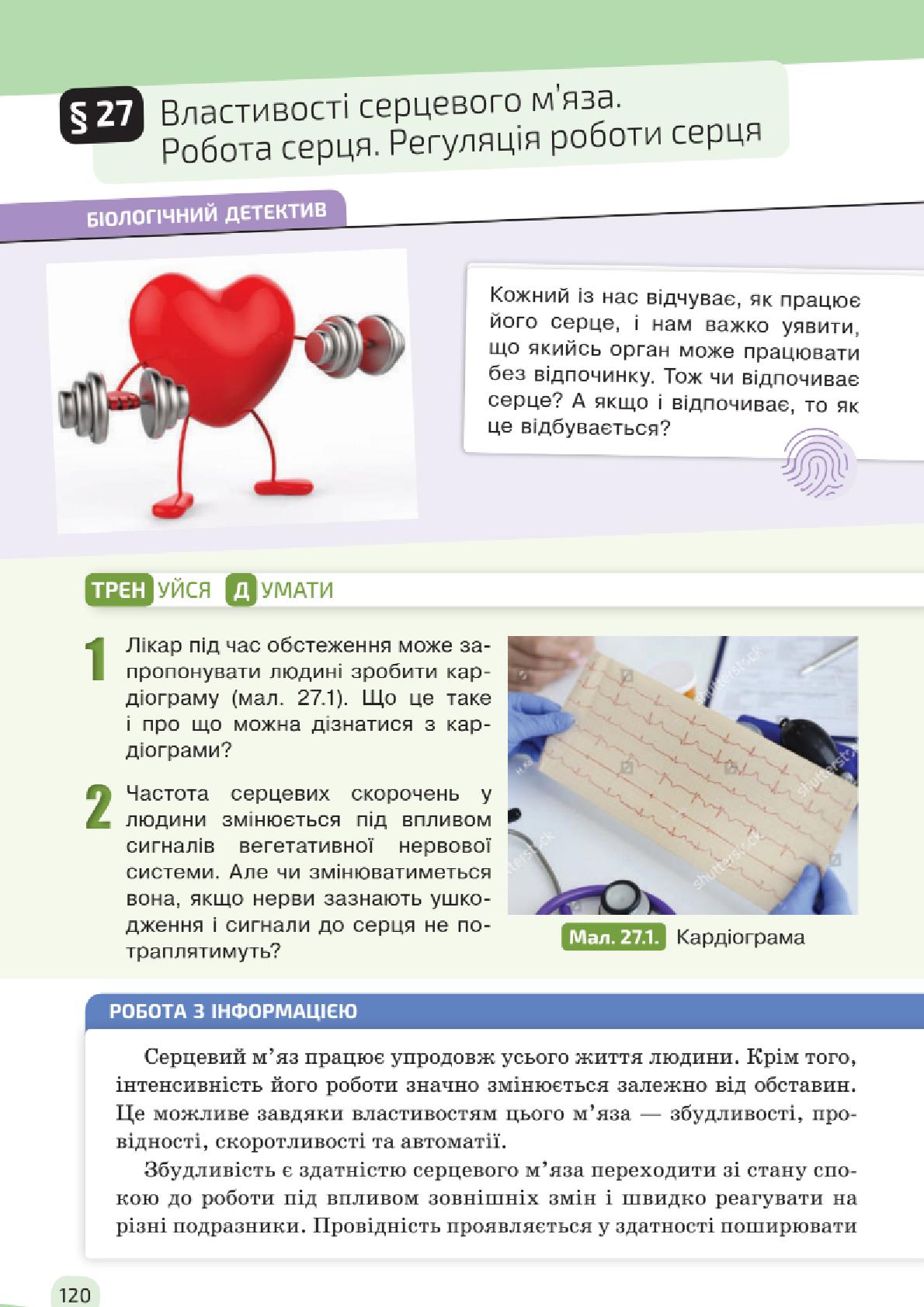 Мініатюра 120