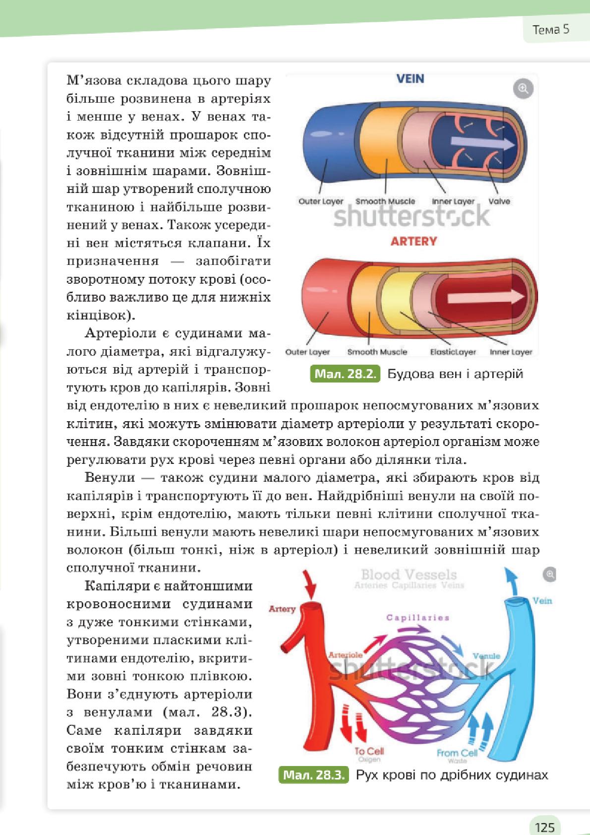 Мініатюра 125