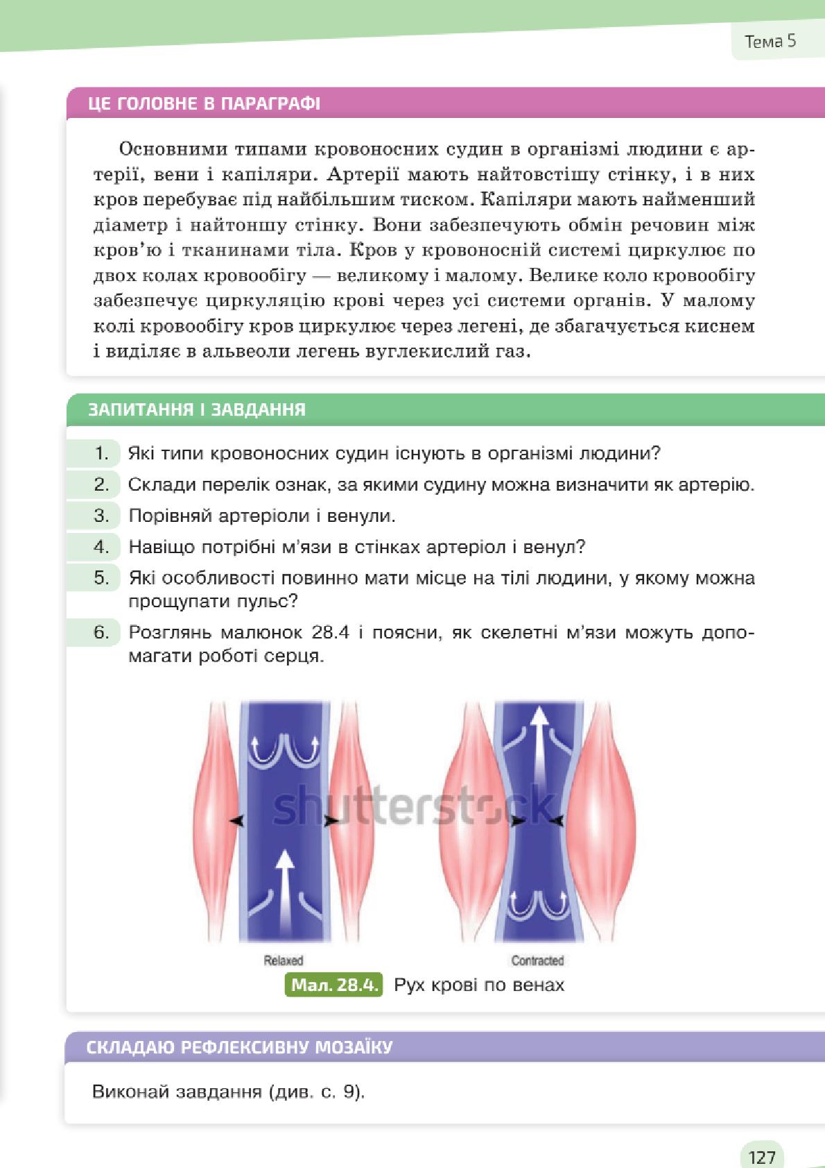 Мініатюра 127