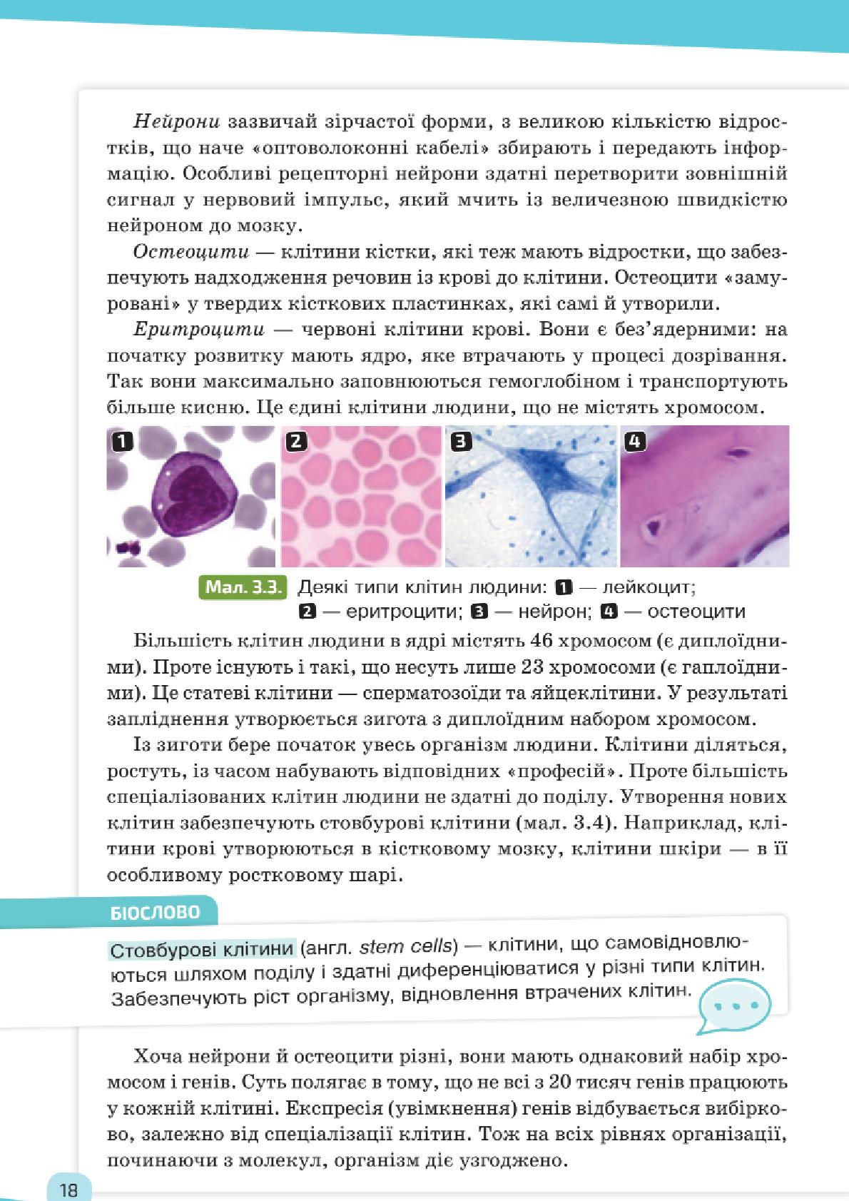 Мініатюра 18