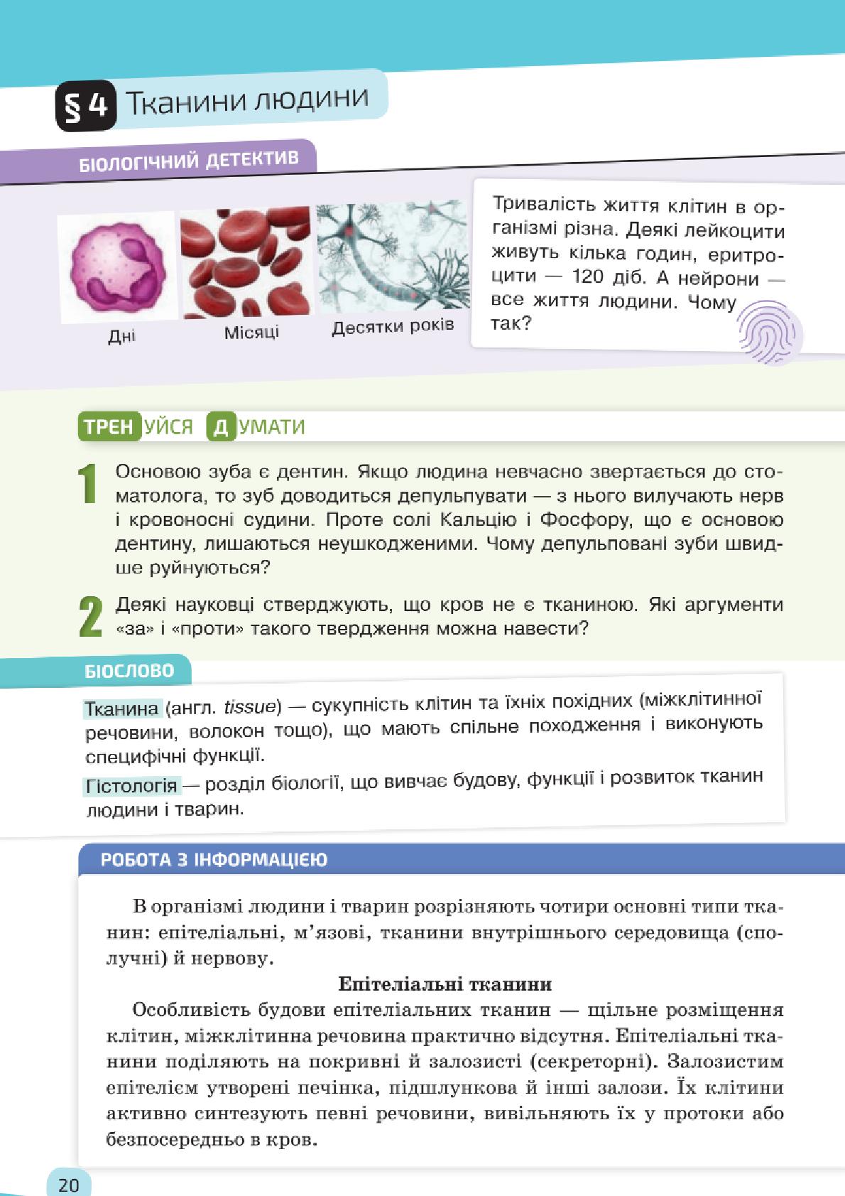 Мініатюра 20