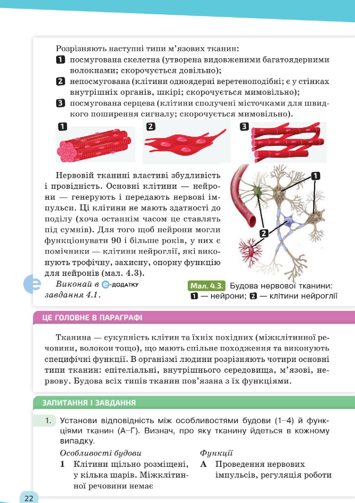 Мініатюра 22
