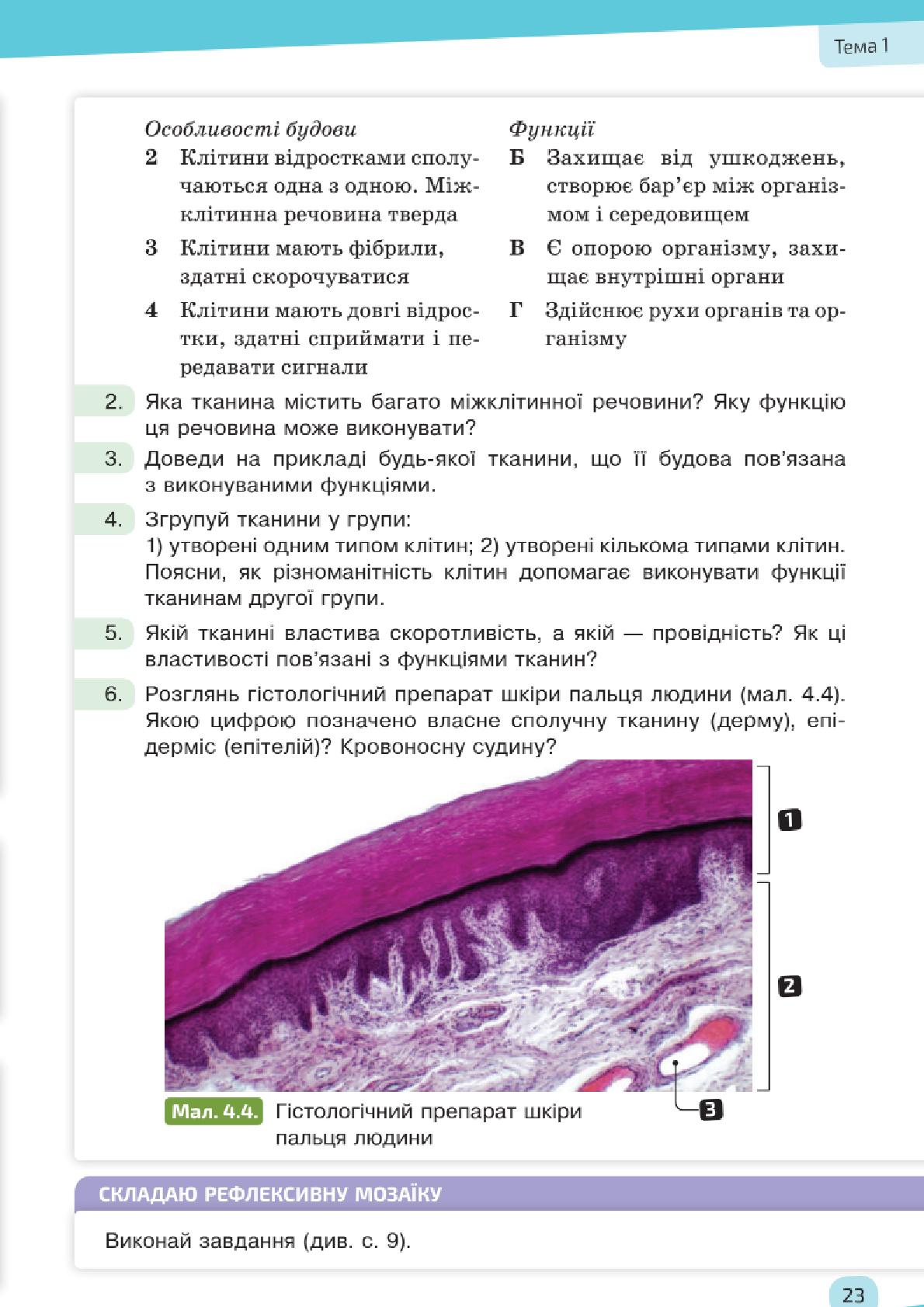 Мініатюра 23