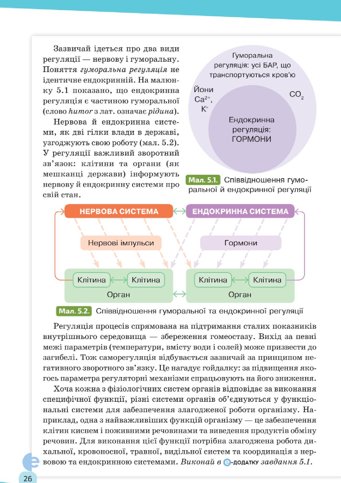 Мініатюра 26