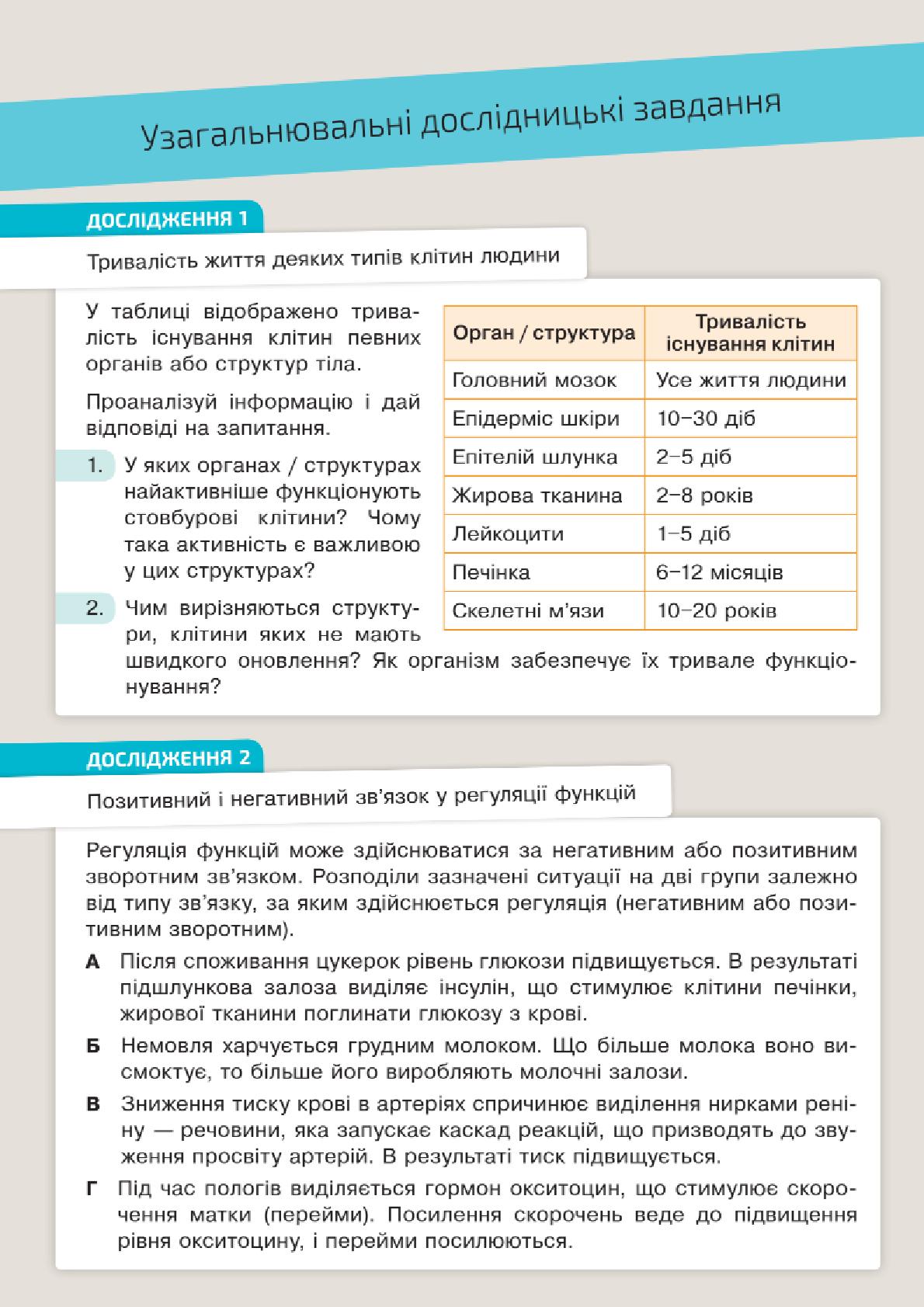 Мініатюра 28