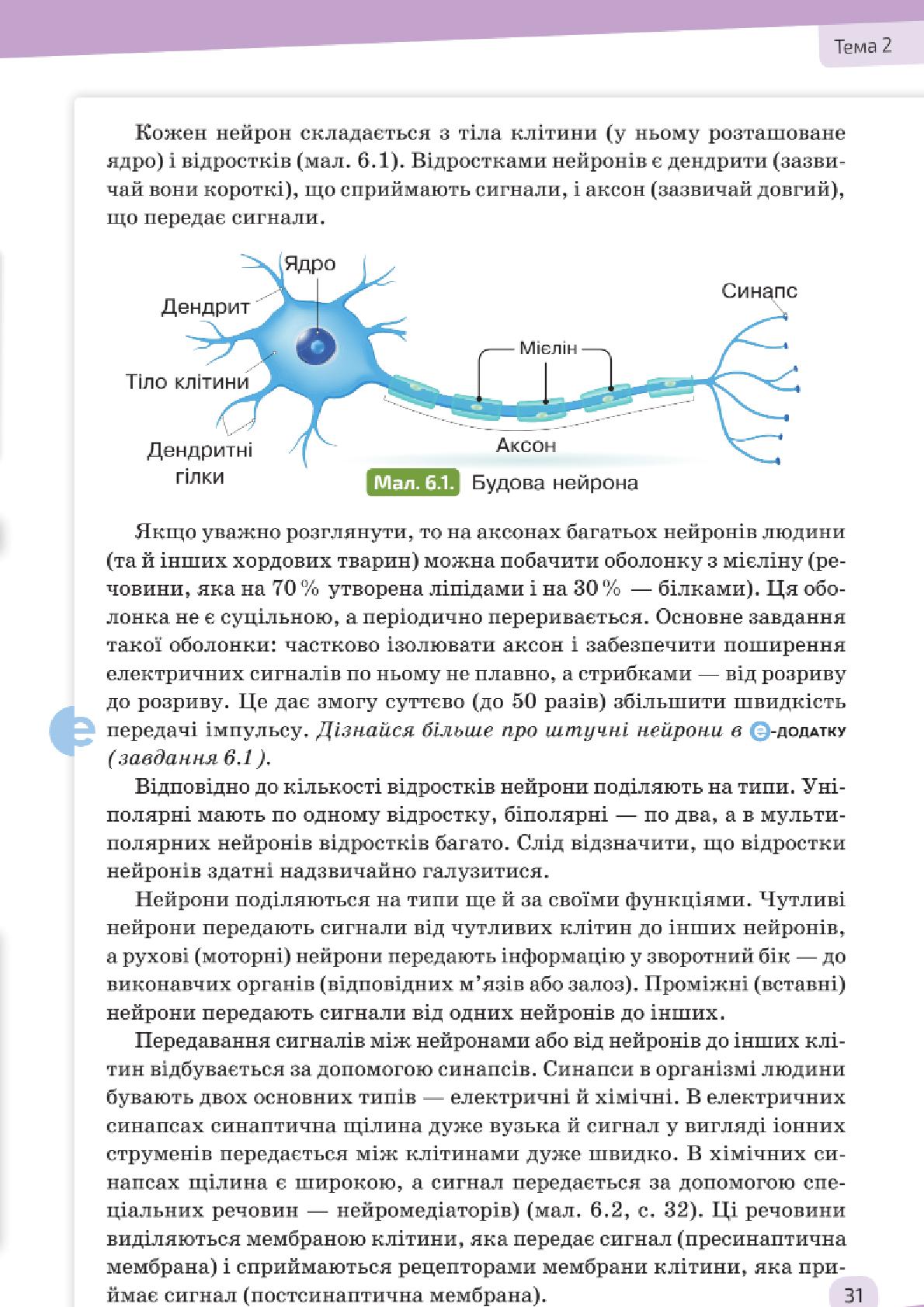 Мініатюра 31