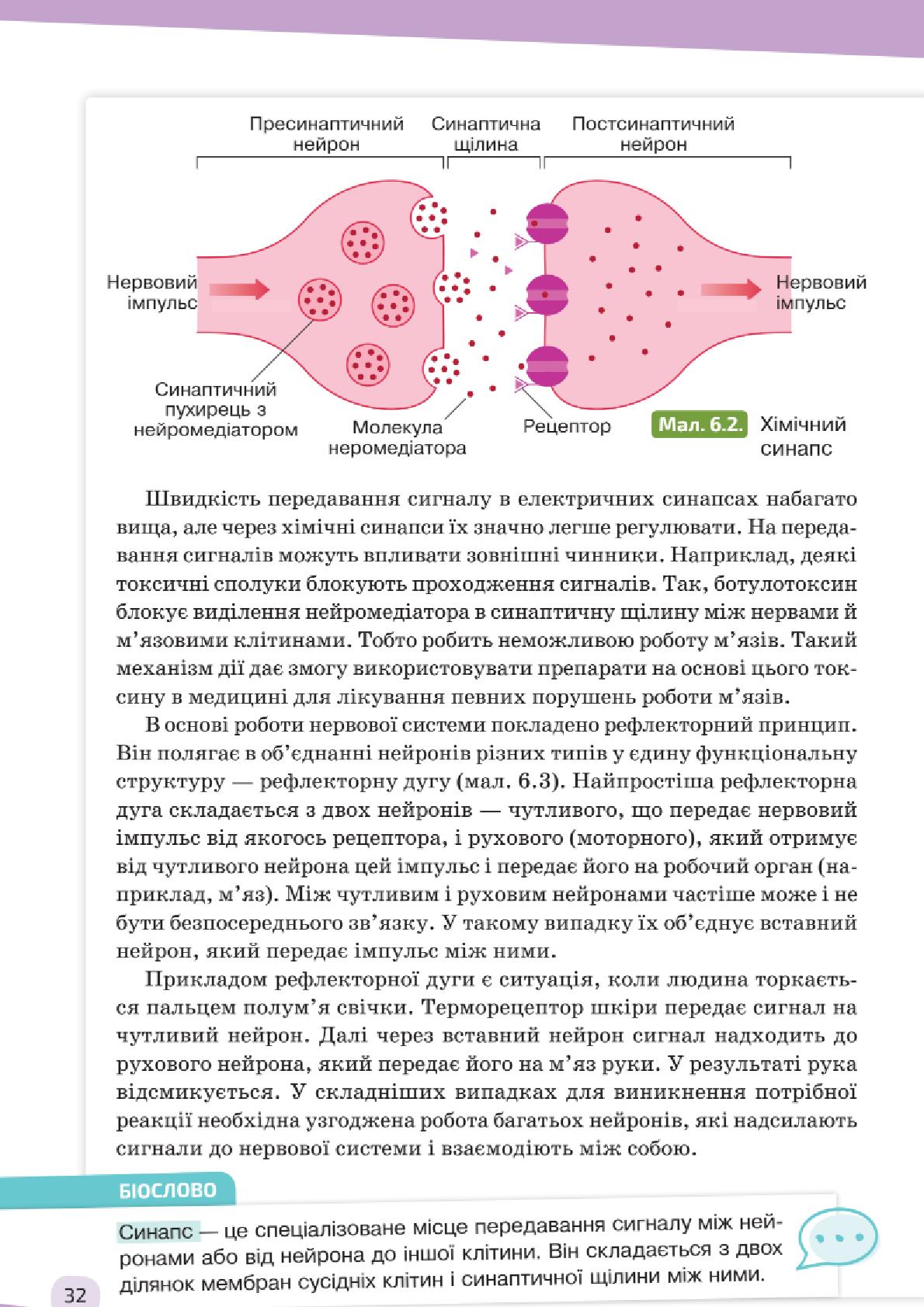 Мініатюра 32