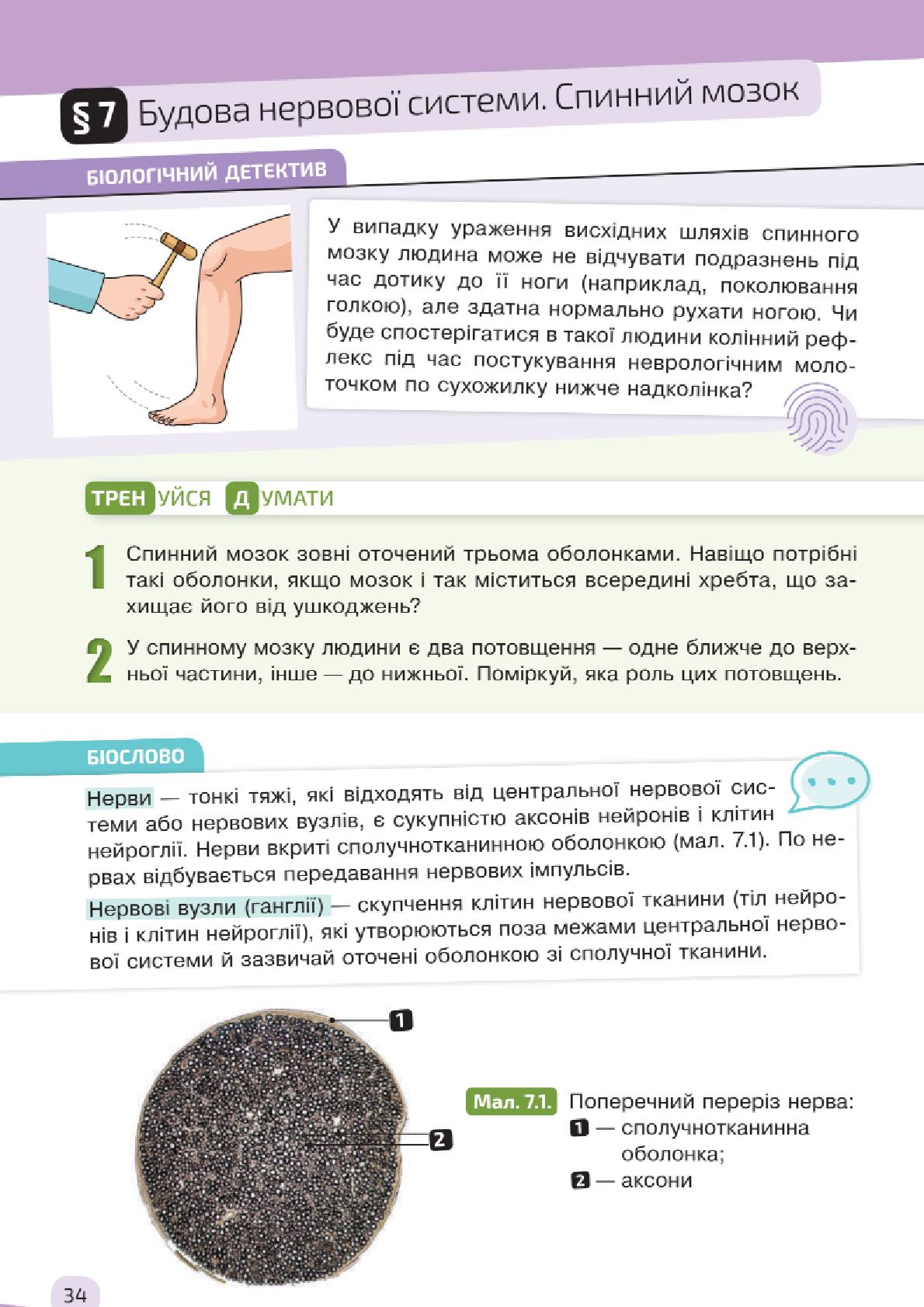 Мініатюра 34